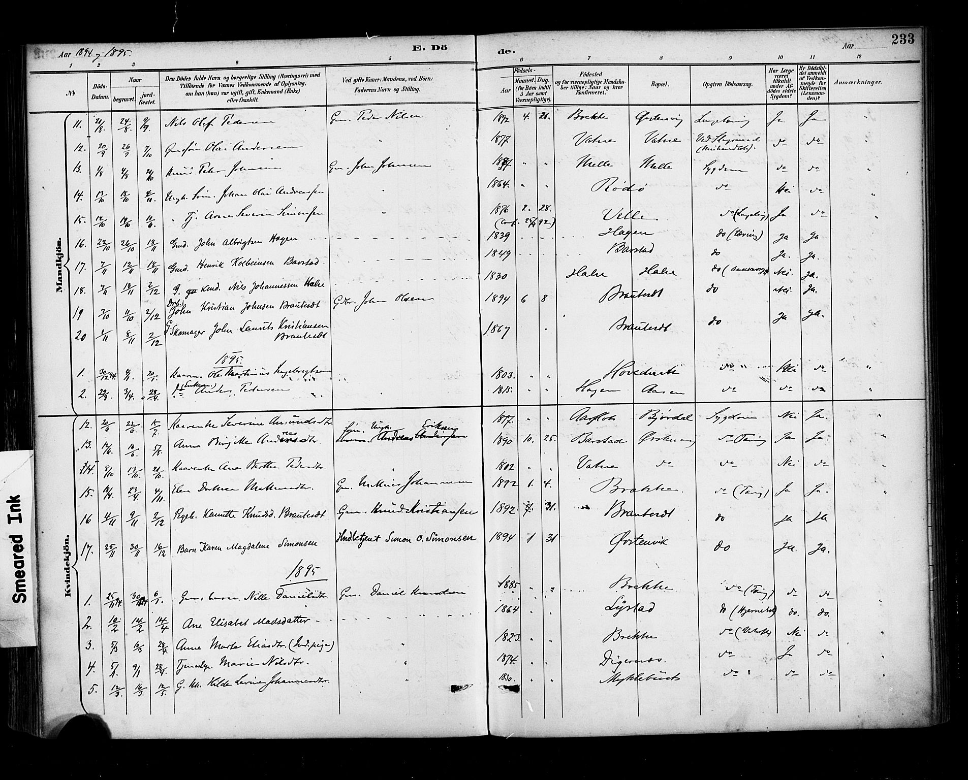 Ministerialprotokoller, klokkerbøker og fødselsregistre - Møre og Romsdal, AV/SAT-A-1454/513/L0177: Parish register (official) no. 513A04, 1890-1906, p. 233