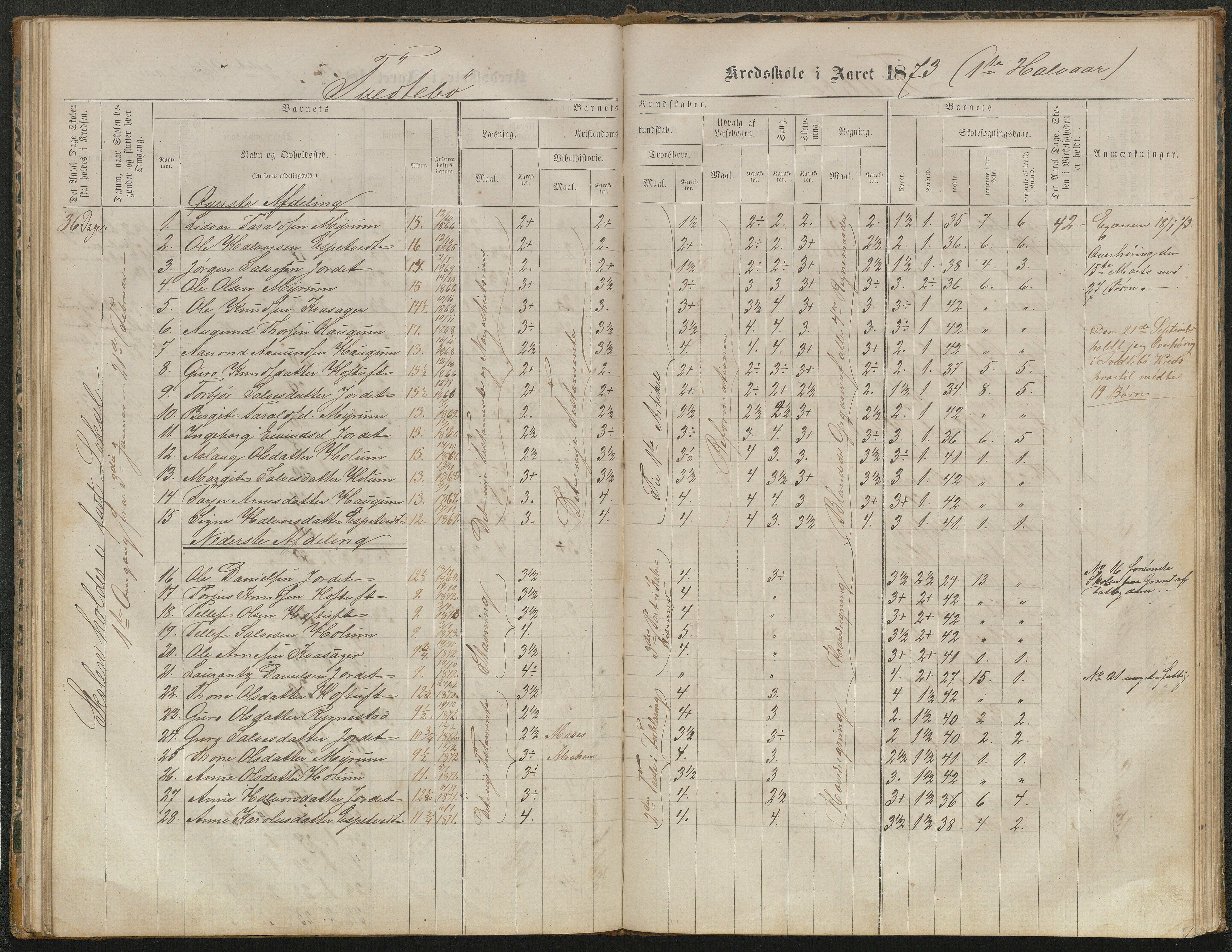 Valle kommune, AAKS/KA0940-PK/03/L0052: Karakterprotokoll for Homme skule. Karakterprotokoll for Oveinang skule. Karakterprotokoll for Tveitebø skule. Karakterprotokoll for den frivillige undervisning i Homme, 1863-1882