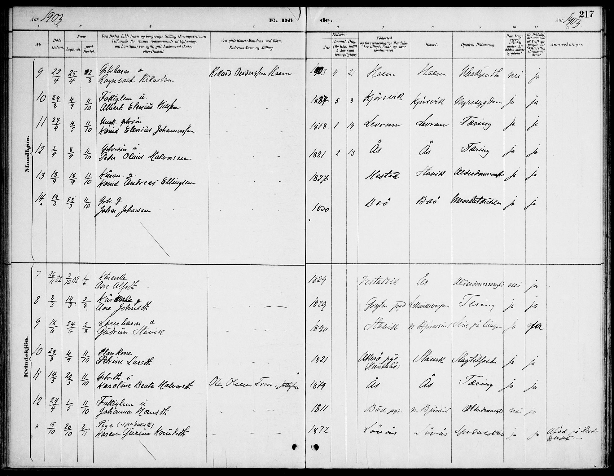 Ministerialprotokoller, klokkerbøker og fødselsregistre - Møre og Romsdal, AV/SAT-A-1454/565/L0750: Parish register (official) no. 565A04, 1887-1905, p. 217