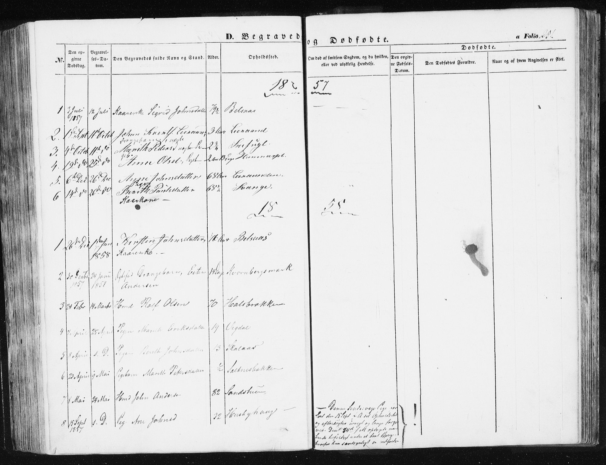 Ministerialprotokoller, klokkerbøker og fødselsregistre - Sør-Trøndelag, AV/SAT-A-1456/612/L0376: Parish register (official) no. 612A08, 1846-1859, p. 251