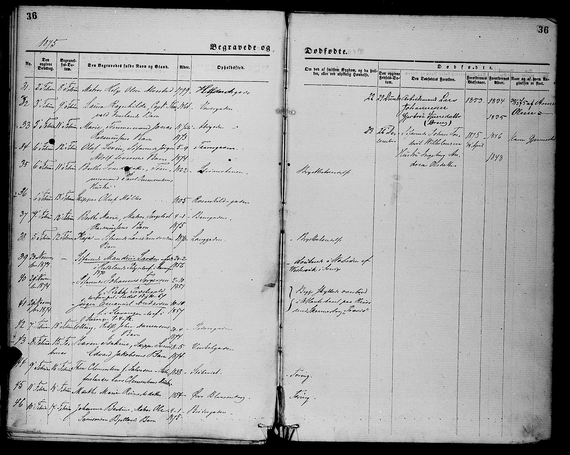 St. Petri sokneprestkontor, AV/SAST-A-101813/001/30/30BA/L0012: Parish register (official) no. A 12, 1873-1878, p. 36