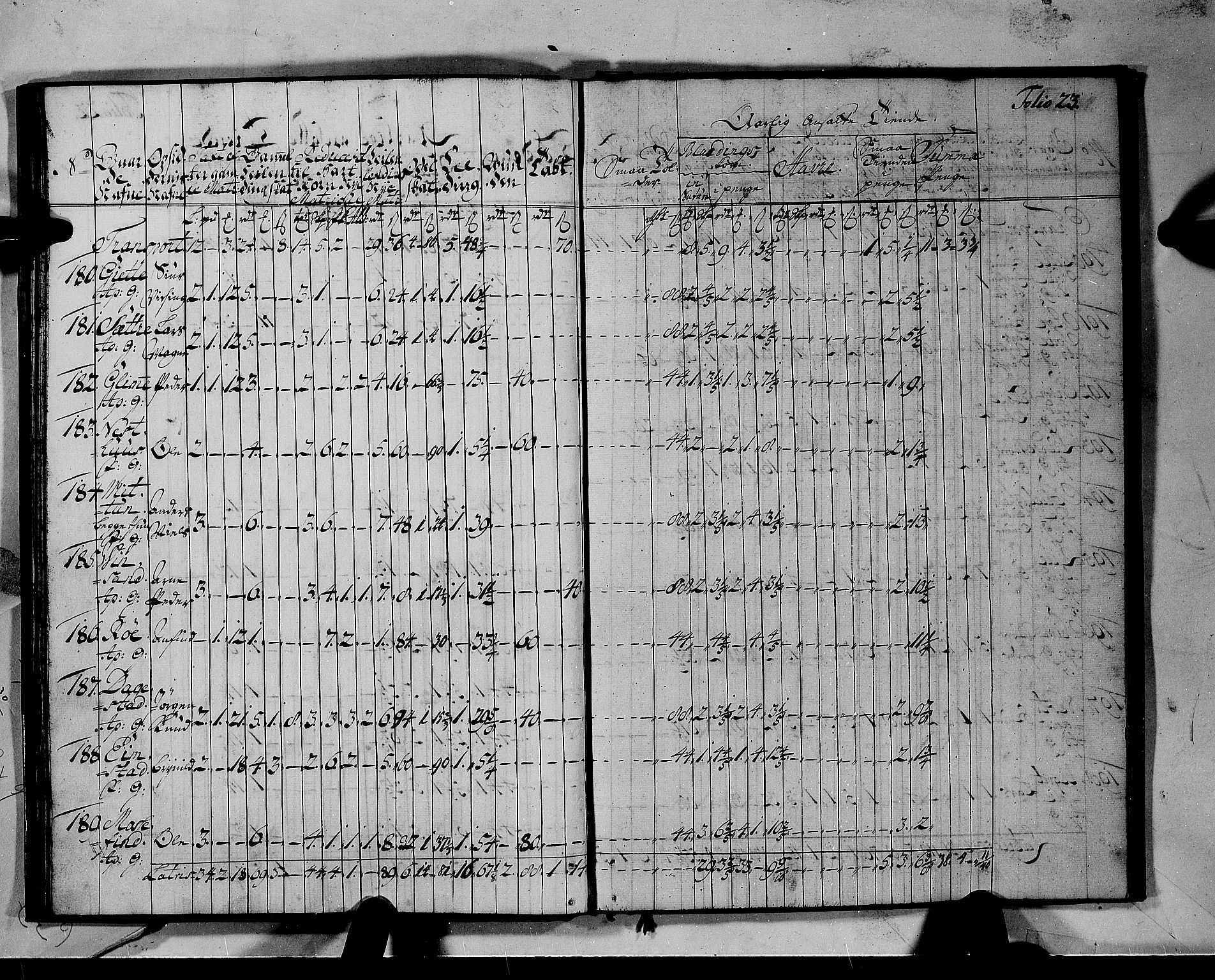 Rentekammeret inntil 1814, Realistisk ordnet avdeling, AV/RA-EA-4070/N/Nb/Nbf/L0142: Voss matrikkelprotokoll, 1723, p. 24