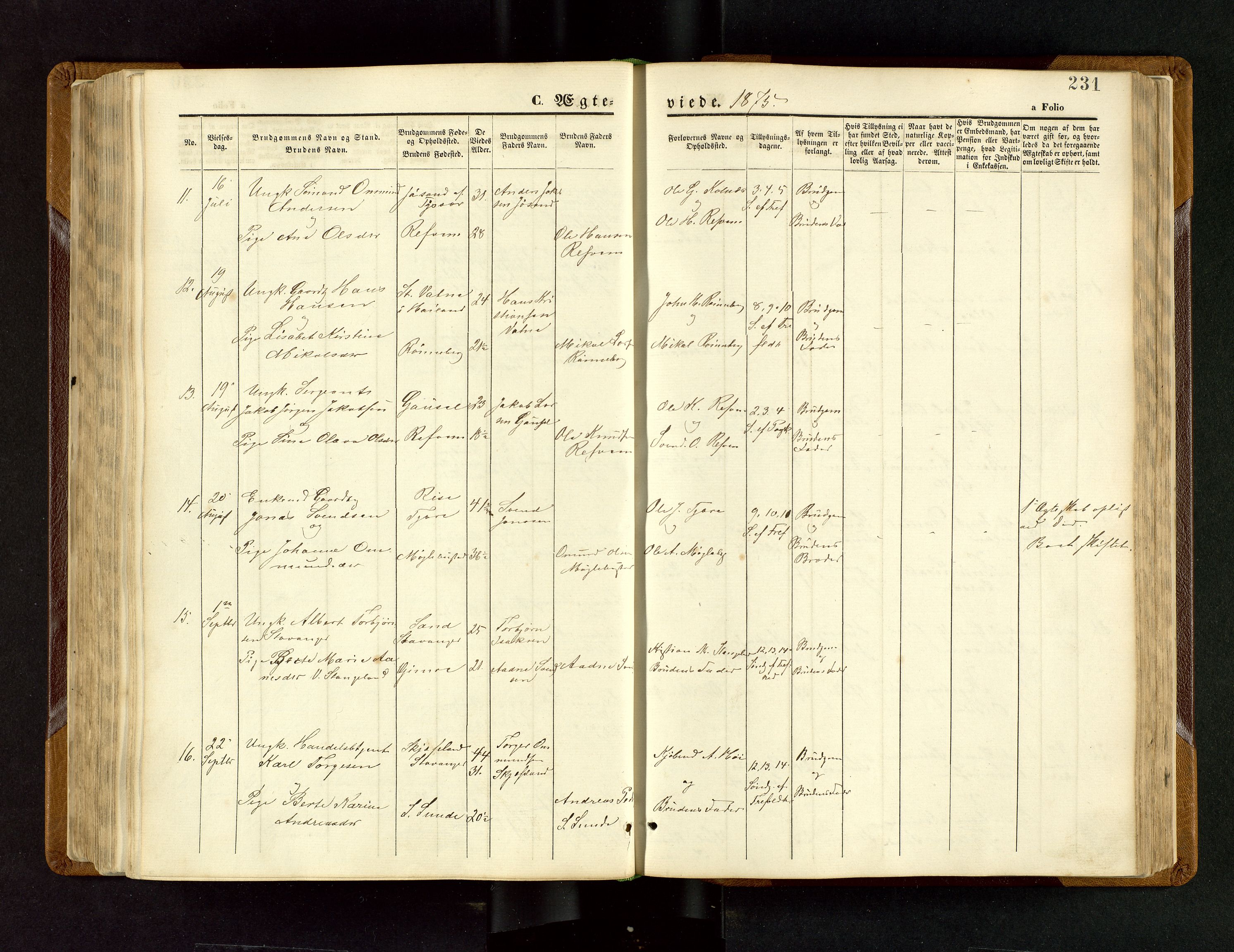 Håland sokneprestkontor, AV/SAST-A-101802/001/30BB/L0003: Parish register (copy) no. B 3, 1873-1893, p. 231