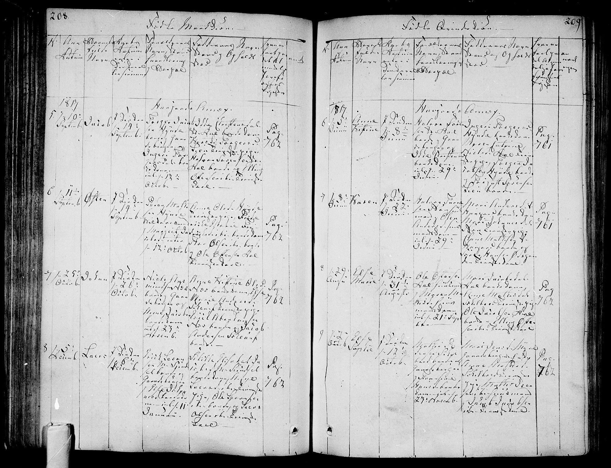 Andebu kirkebøker, AV/SAKO-A-336/F/Fa/L0003: Parish register (official) no. 3 /2, 1815-1828, p. 208-209