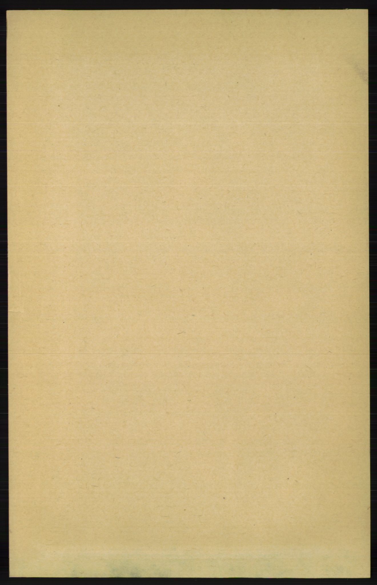 RA, 1891 census for 1036 Fjotland, 1891, p. 49