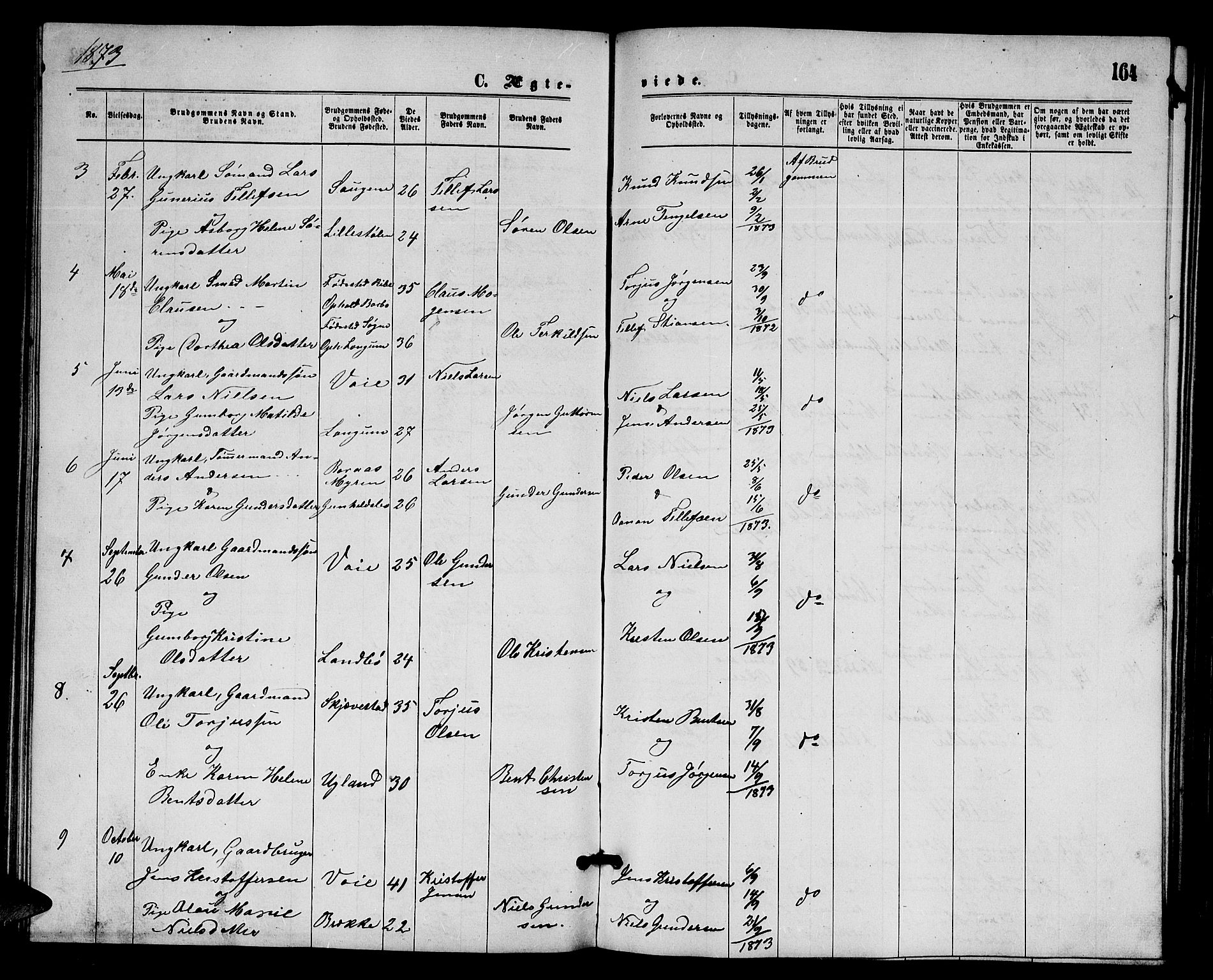 Austre Moland sokneprestkontor, AV/SAK-1111-0001/F/Fb/Fba/L0002: Parish register (copy) no. B 2, 1869-1879, p. 164