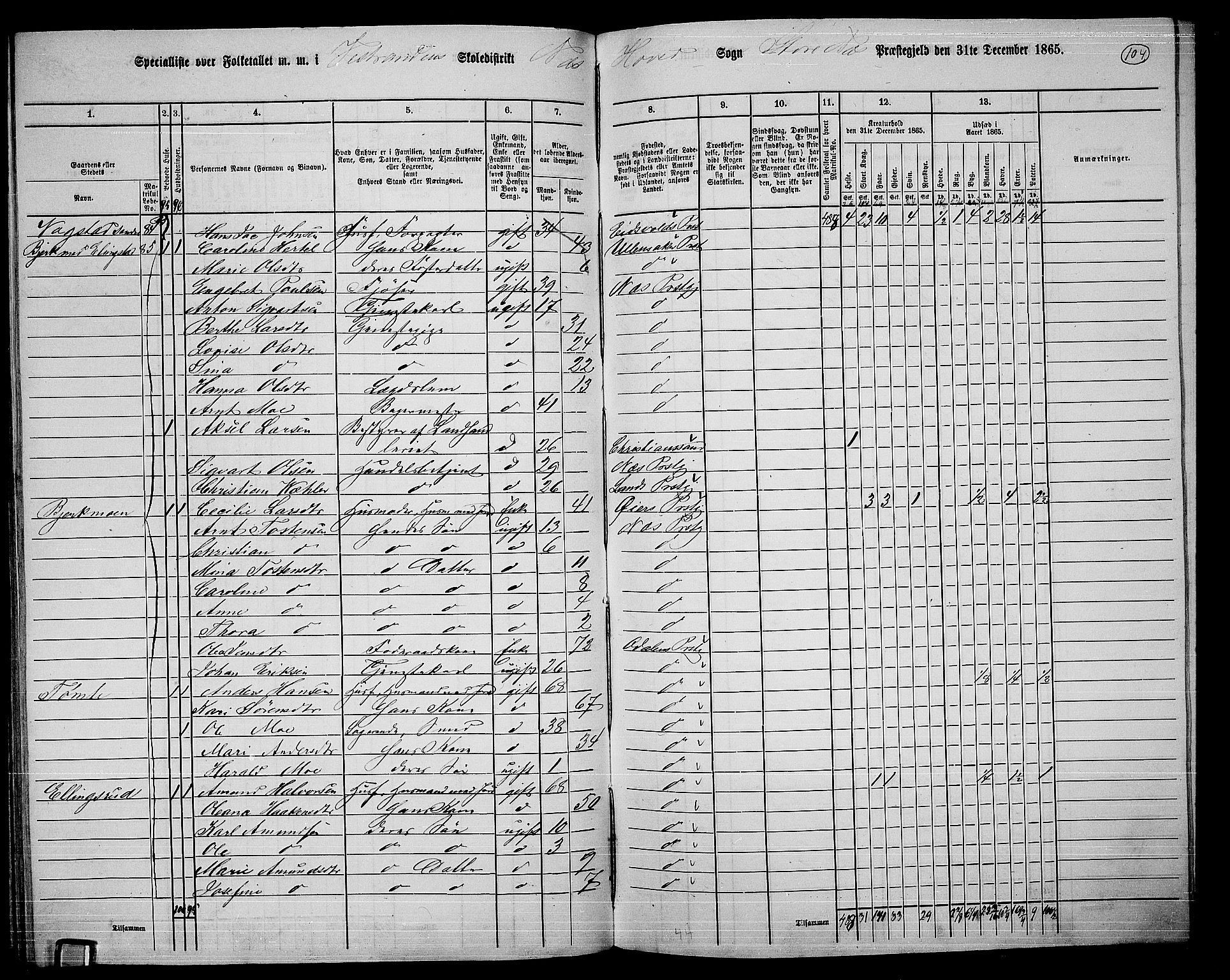 RA, 1865 census for Nes, 1865, p. 96