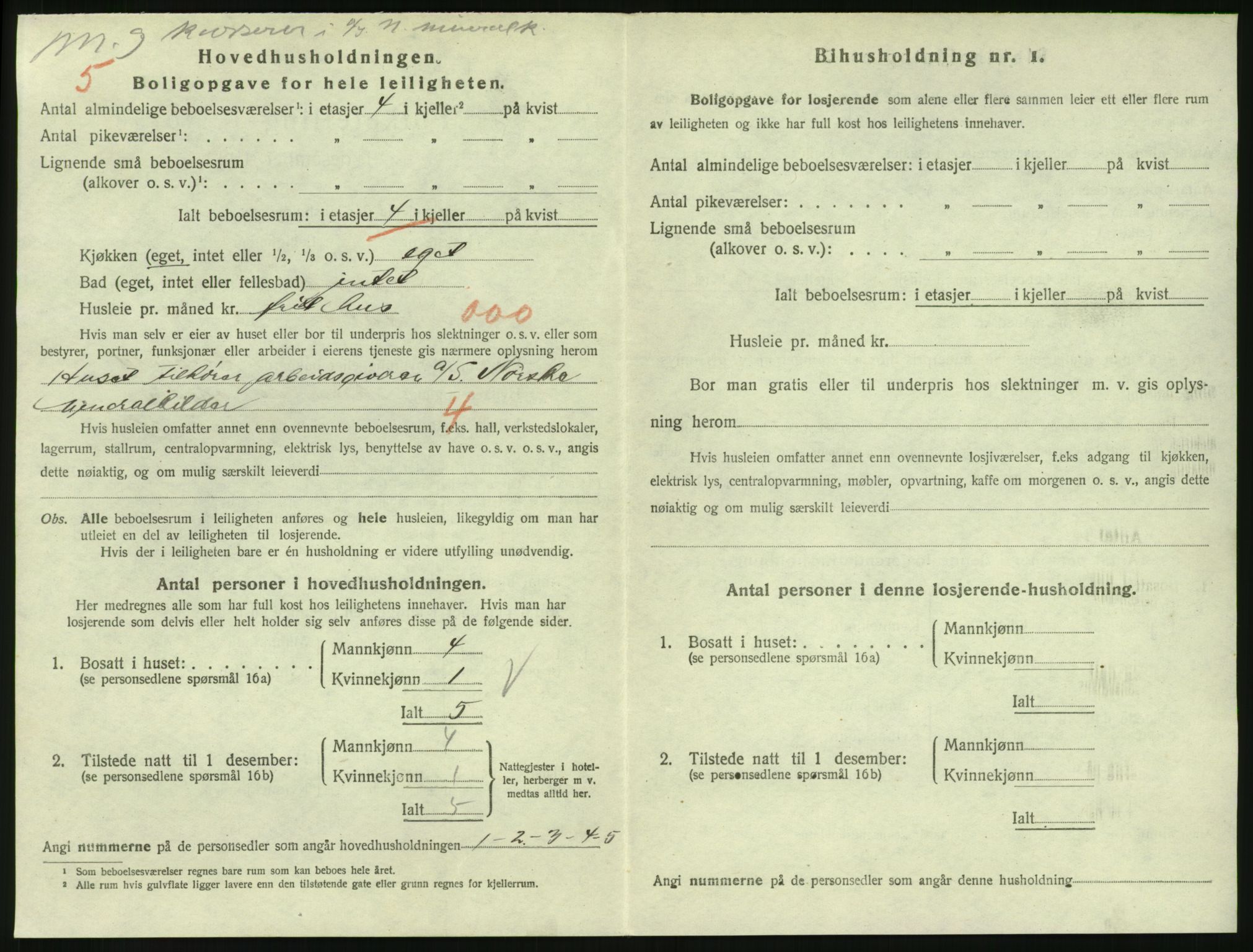 SAKO, 1920 census for Larvik, 1920, p. 3131