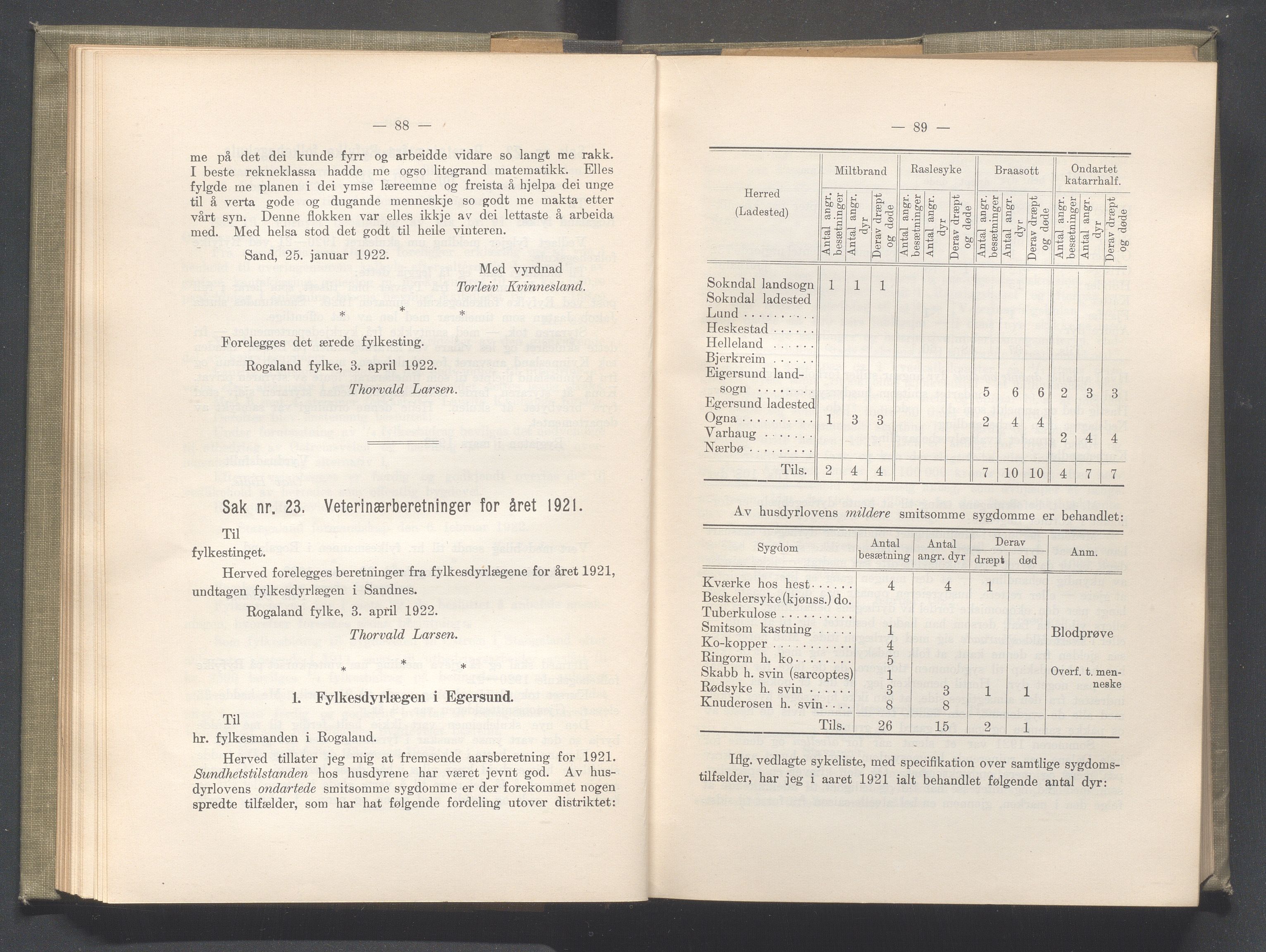 Rogaland fylkeskommune - Fylkesrådmannen , IKAR/A-900/A/Aa/Aaa/L0041: Møtebok , 1922, p. 88-89