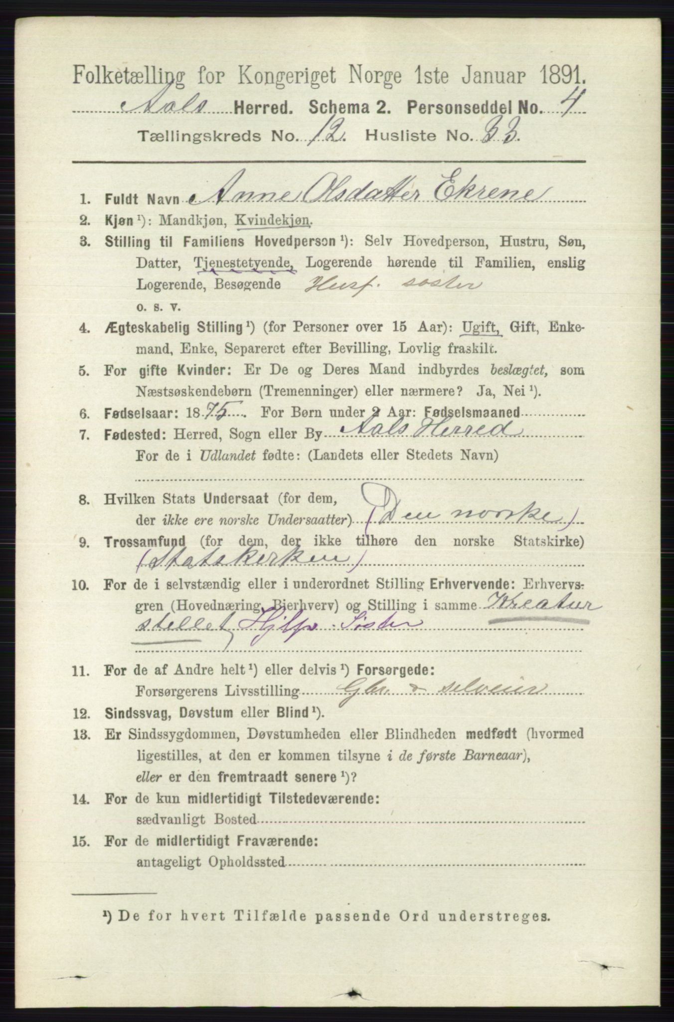 RA, 1891 census for 0619 Ål, 1891, p. 3200