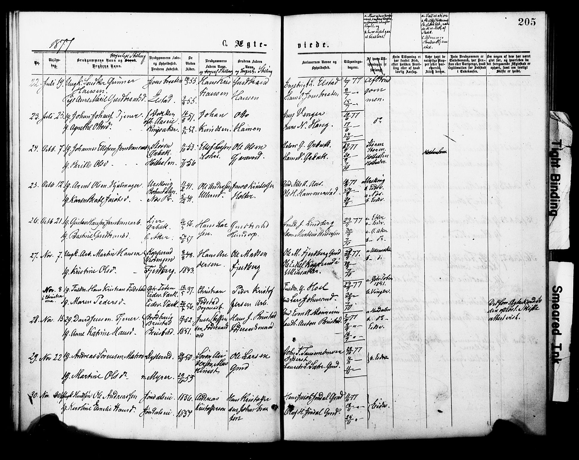 Eidsvoll prestekontor Kirkebøker, AV/SAO-A-10888/F/Fa/L0001: Parish register (official) no. I 1, 1877-1881, p. 205