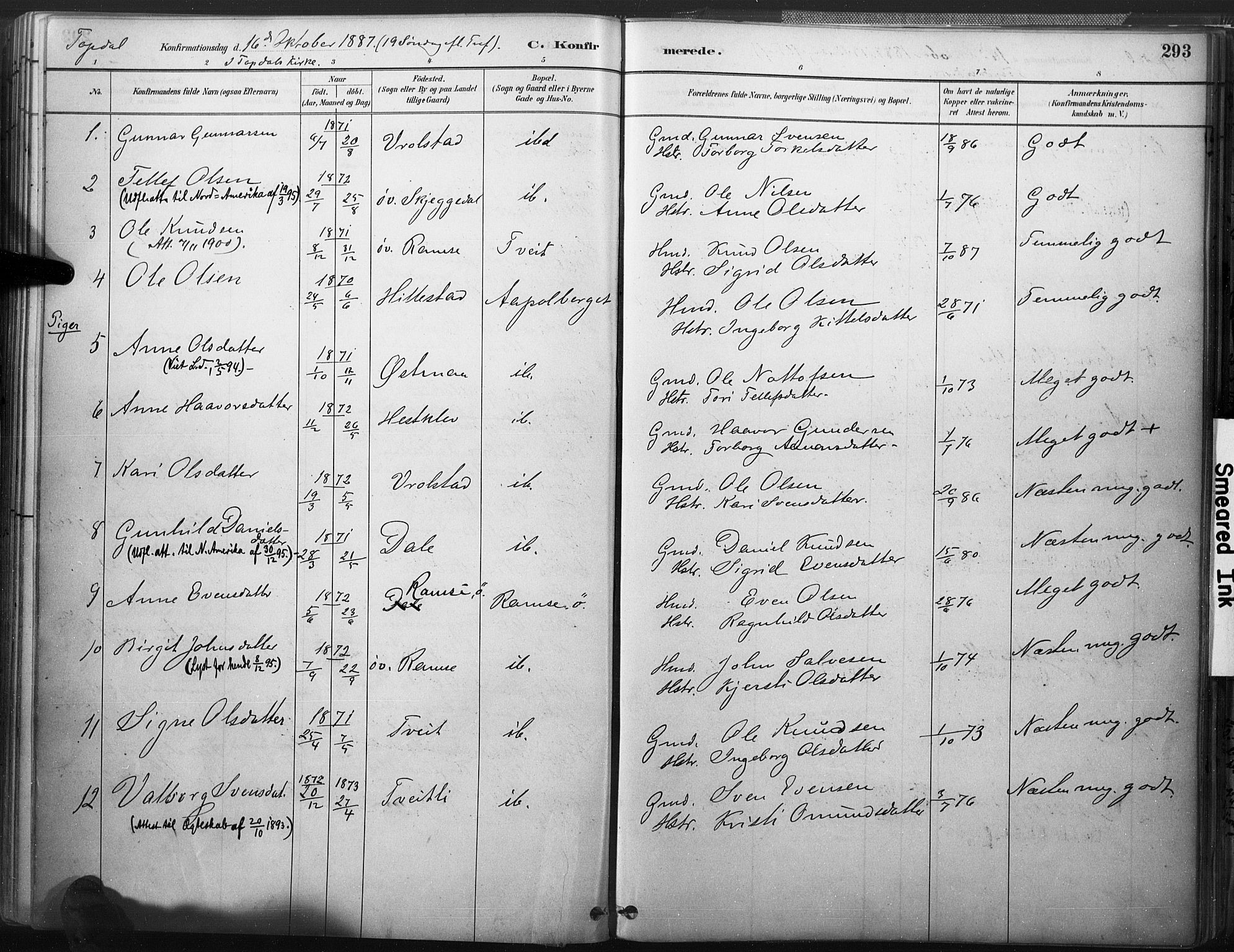 Åmli sokneprestkontor, SAK/1111-0050/F/Fa/Fac/L0010: Parish register (official) no. A 10 /3, 1885-1899, p. 293