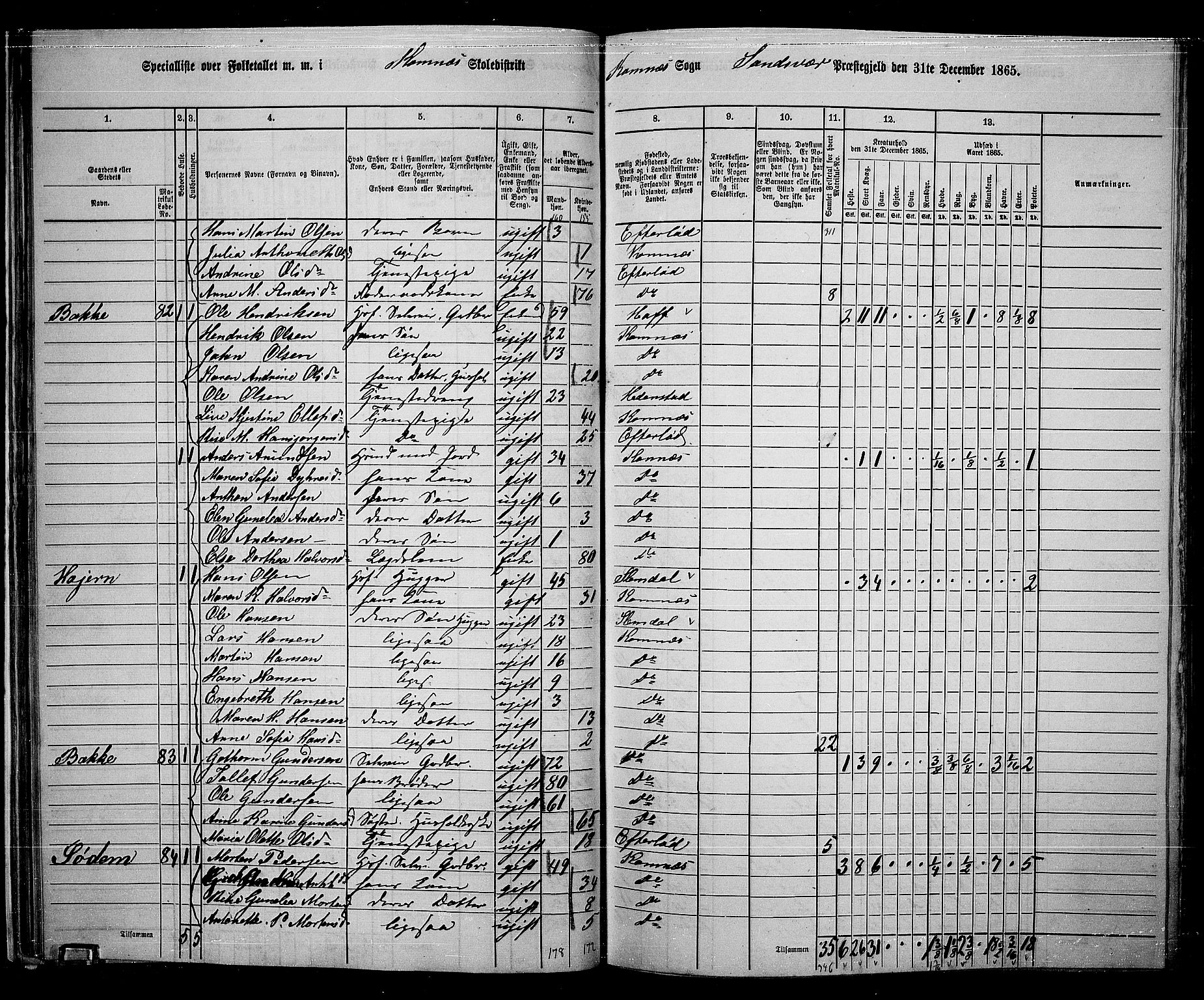 RA, 1865 census for Sandsvær, 1865, p. 36