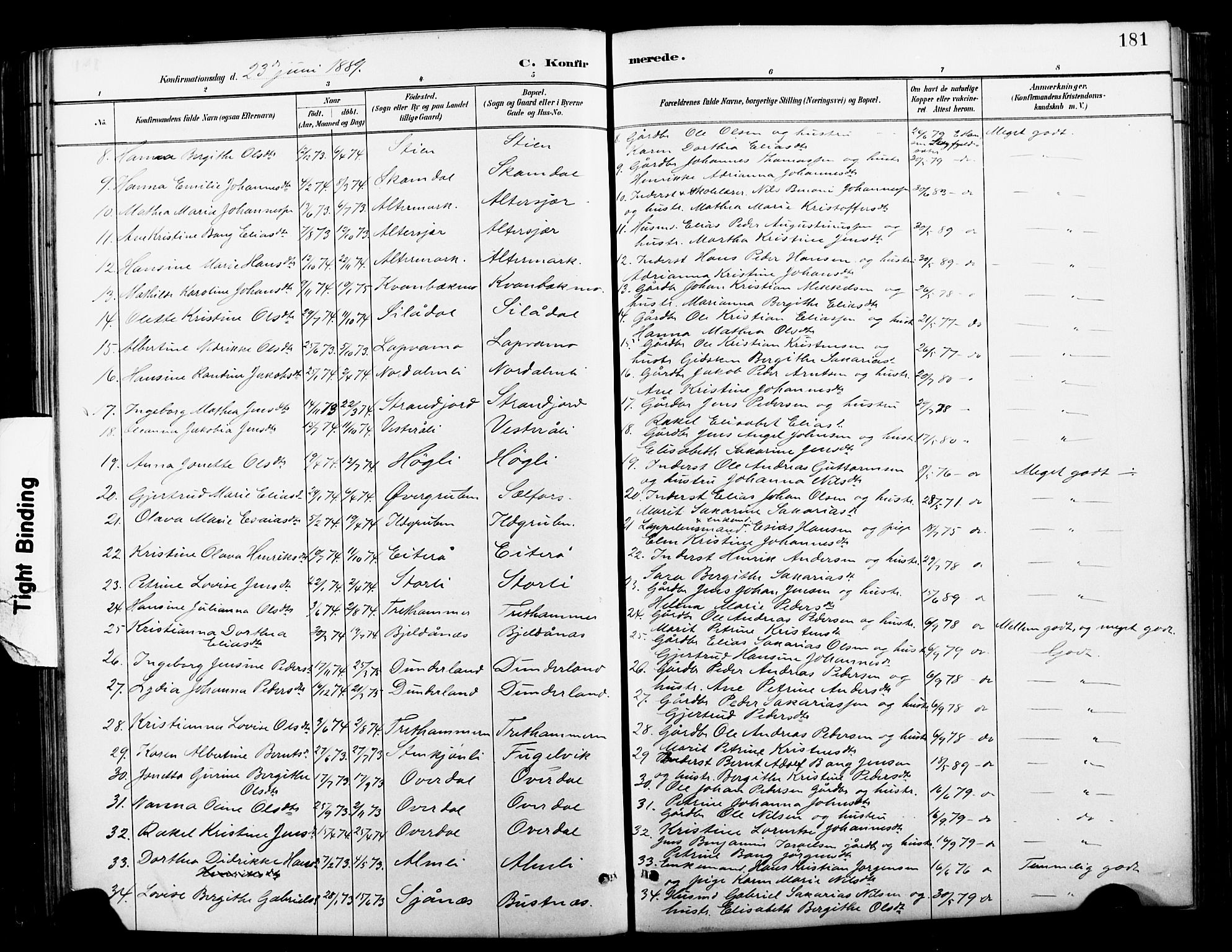 Ministerialprotokoller, klokkerbøker og fødselsregistre - Nordland, AV/SAT-A-1459/827/L0421: Parish register (copy) no. 827C10, 1887-1906, p. 181