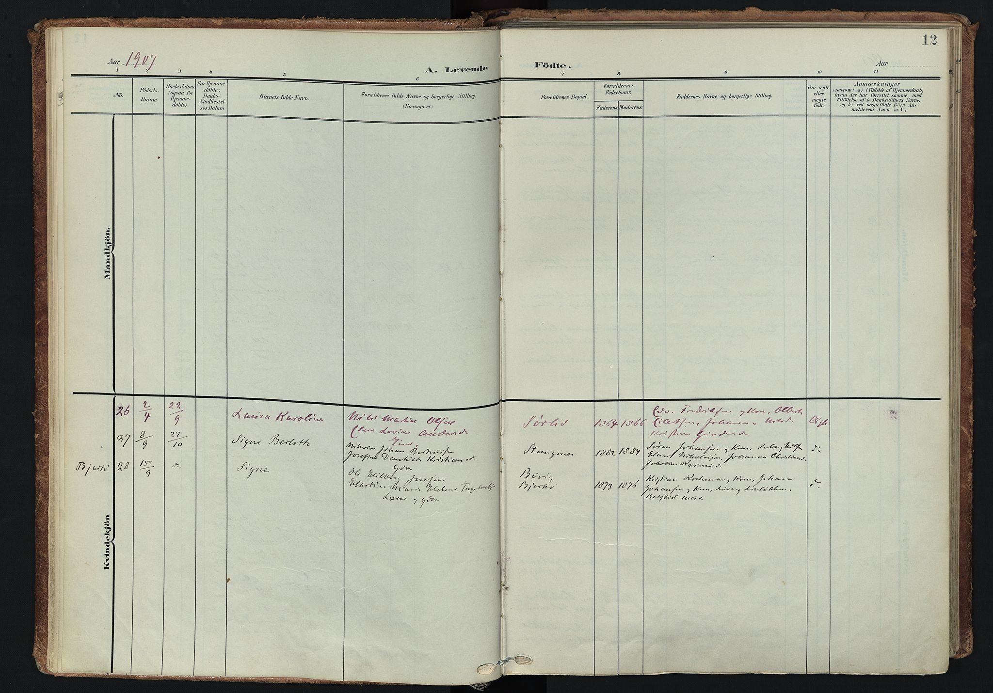 Tranøy sokneprestkontor, SATØ/S-1313/I/Ia/Iaa/L0014kirke: Parish register (official) no. 14, 1905-1919, p. 12