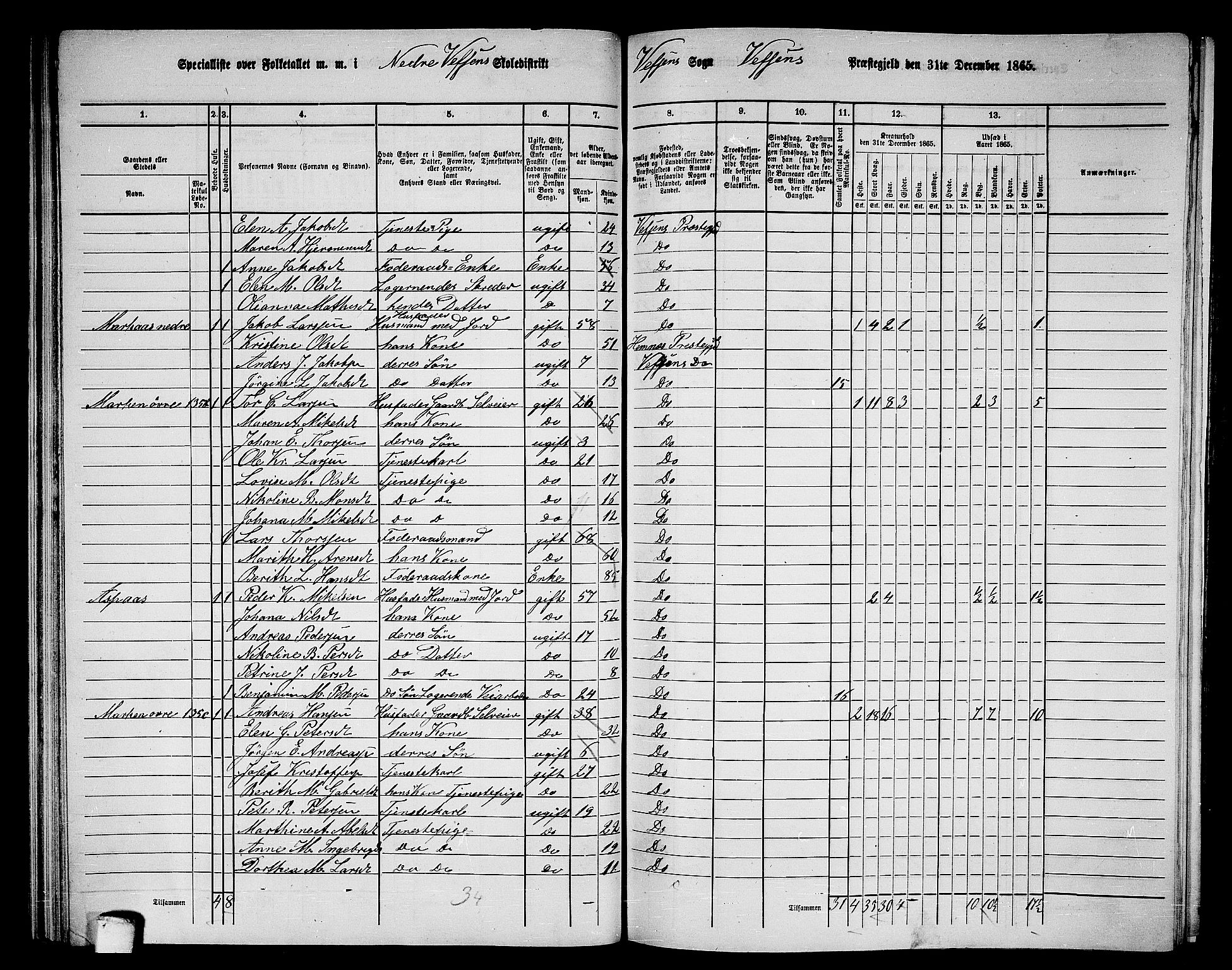 RA, 1865 census for Vefsn, 1865, p. 77