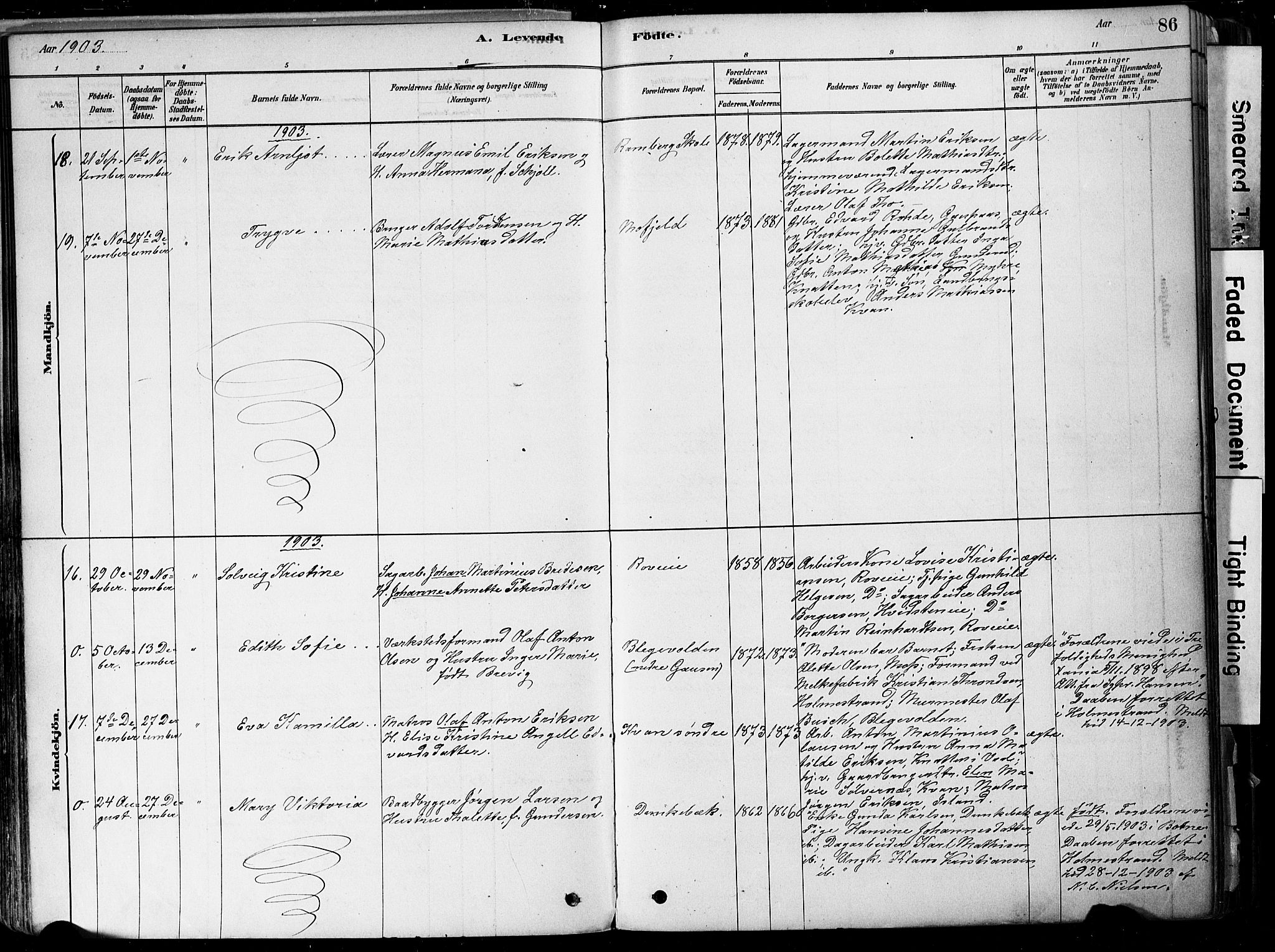 Botne kirkebøker, AV/SAKO-A-340/F/Fa/L0007: Parish register (official) no. I 7, 1878-1910, p. 86