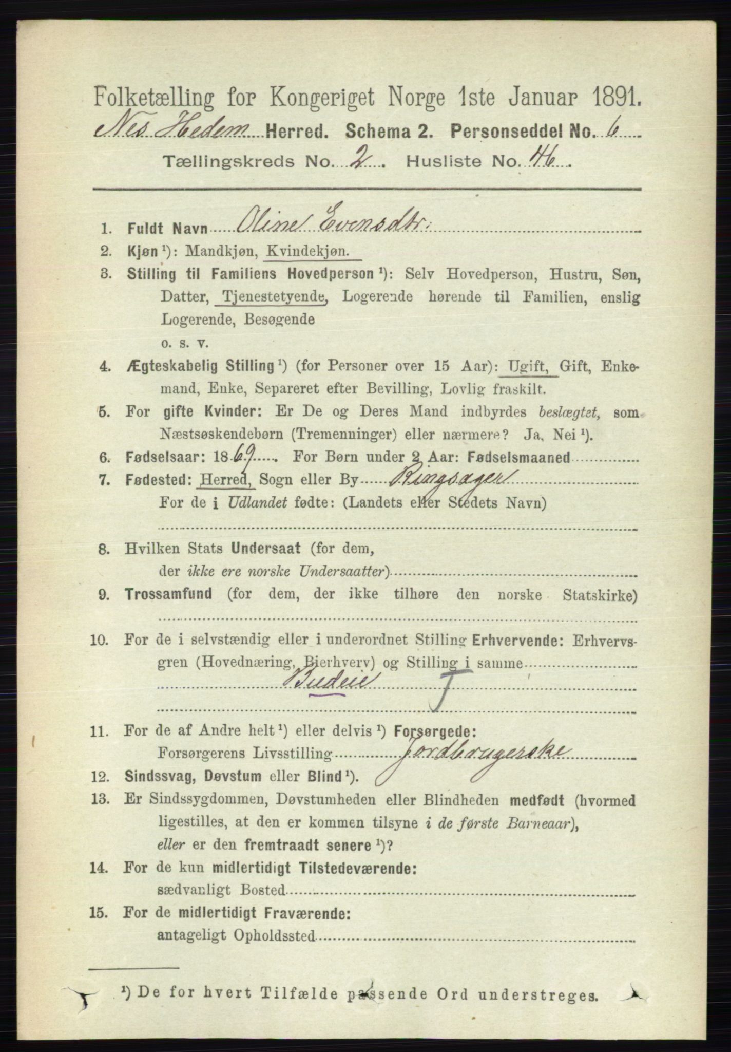 RA, 1891 census for 0411 Nes, 1891, p. 1406