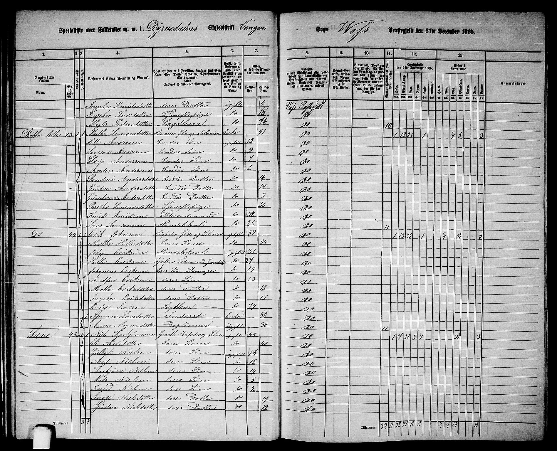 RA, 1865 census for Voss, 1865, p. 29