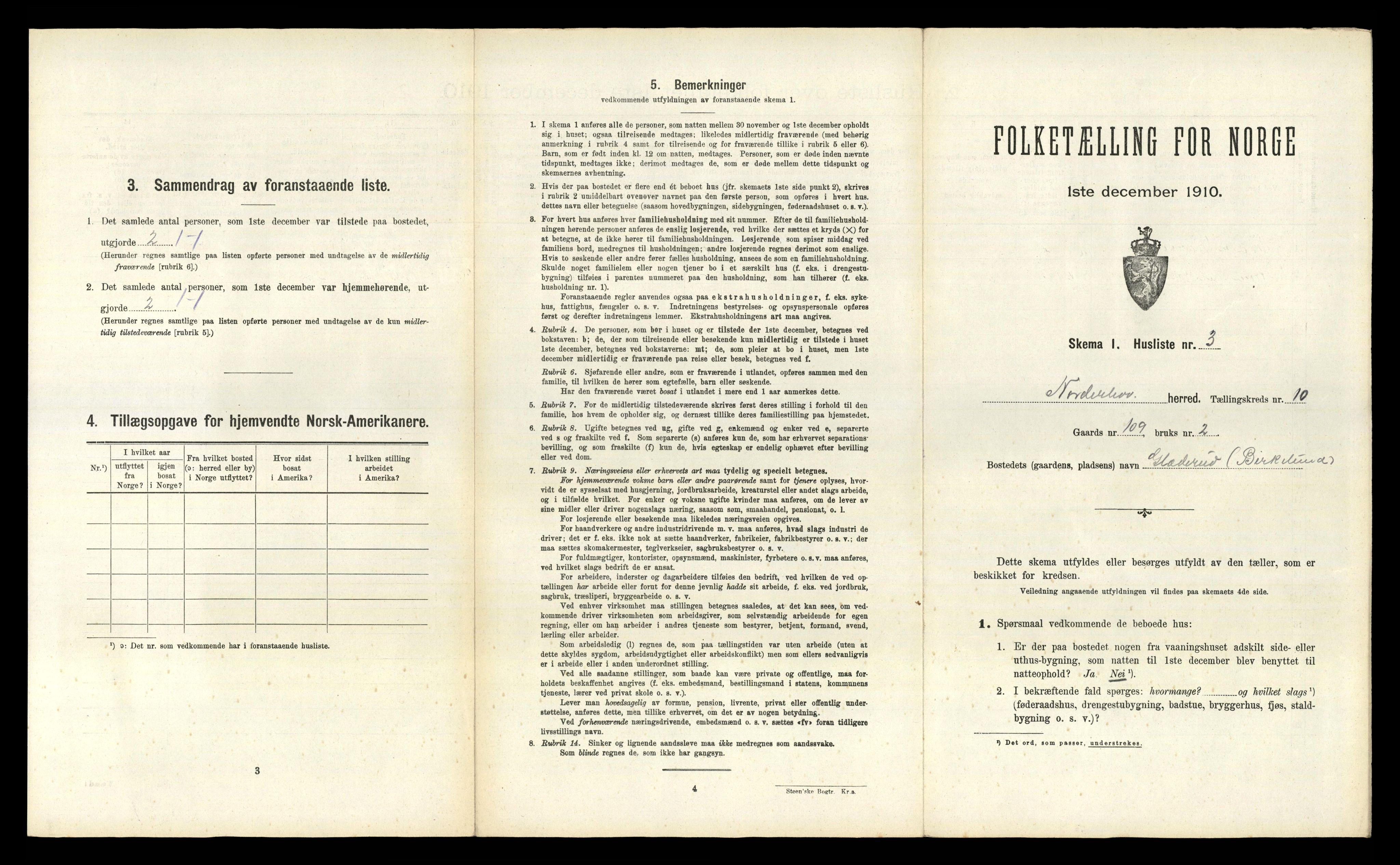 RA, 1910 census for Norderhov, 1910, p. 2572