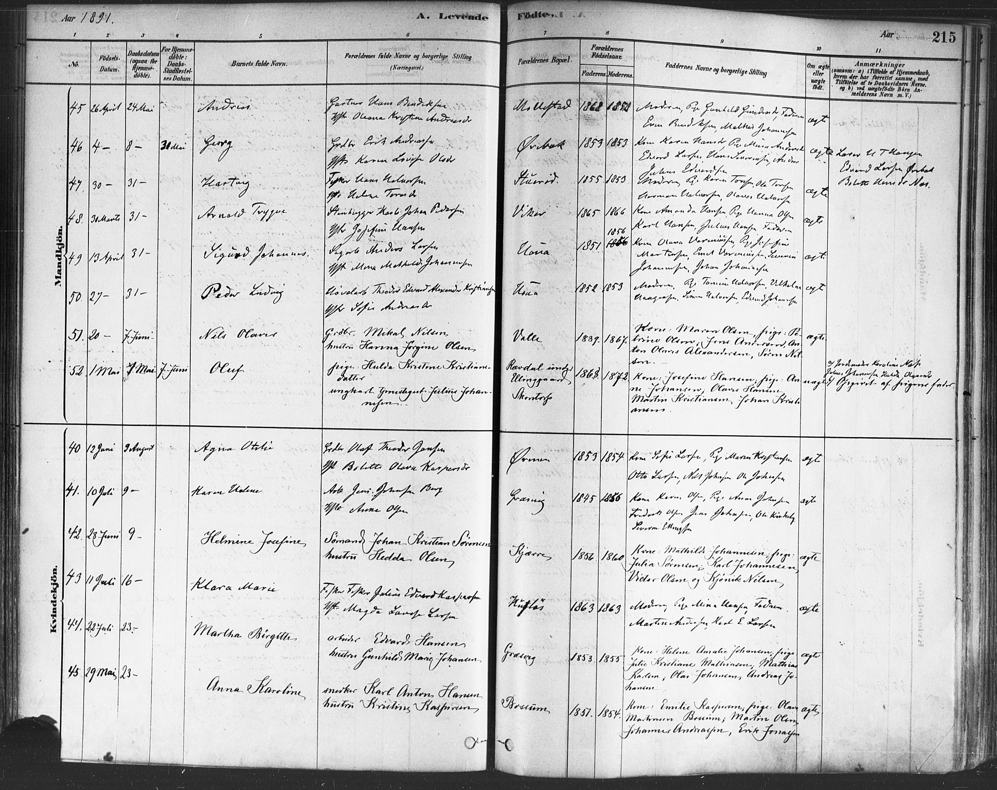 Onsøy prestekontor Kirkebøker, AV/SAO-A-10914/F/Fa/L0005: Parish register (official) no. I 5, 1878-1898, p. 215