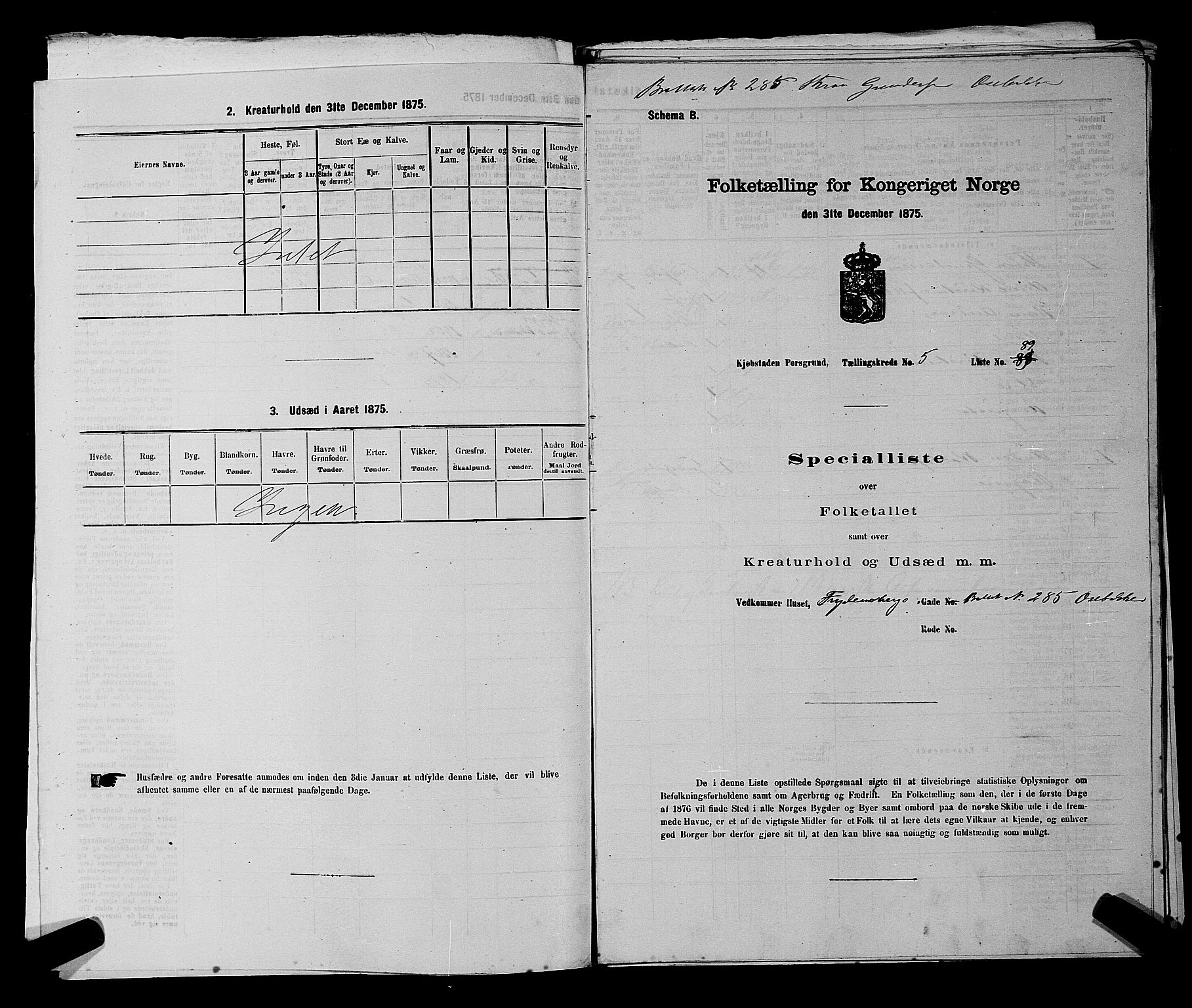 SAKO, 1875 census for 0805P Porsgrunn, 1875, p. 223