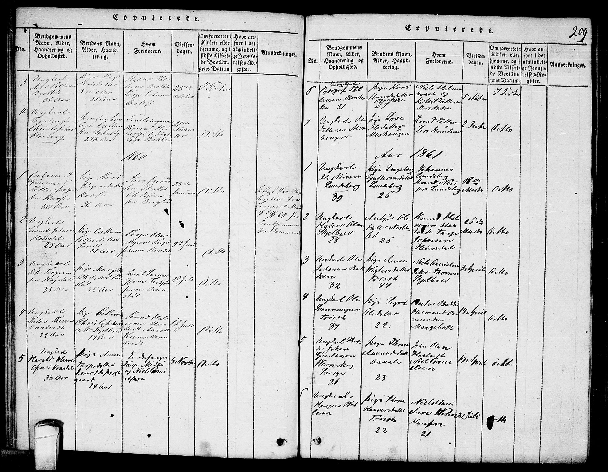 Lårdal kirkebøker, SAKO/A-284/G/Ga/L0001: Parish register (copy) no. I 1, 1815-1861, p. 209