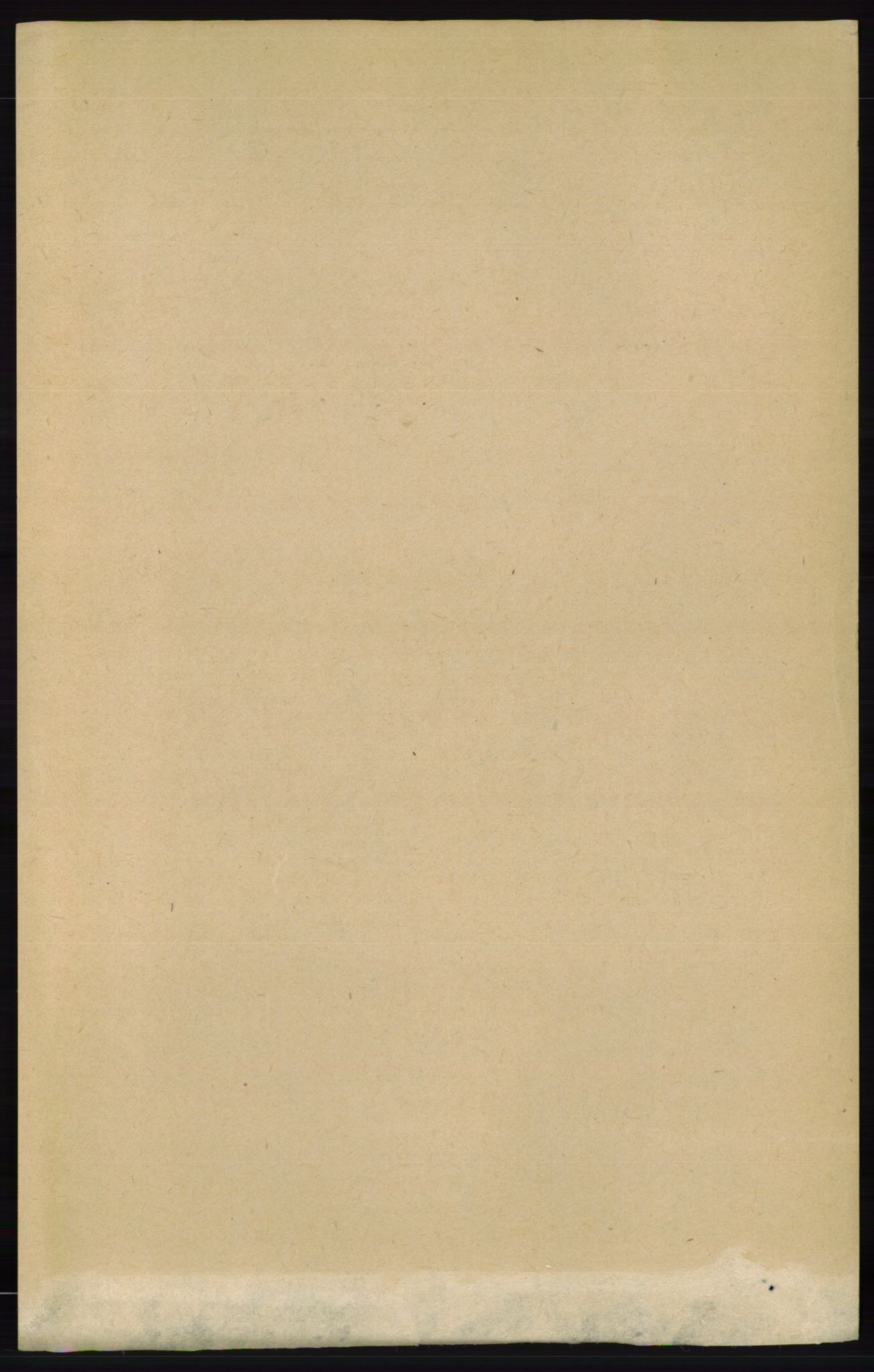 RA, Census 1891 for 0413 Furnes herred, 1891, p. 4158
