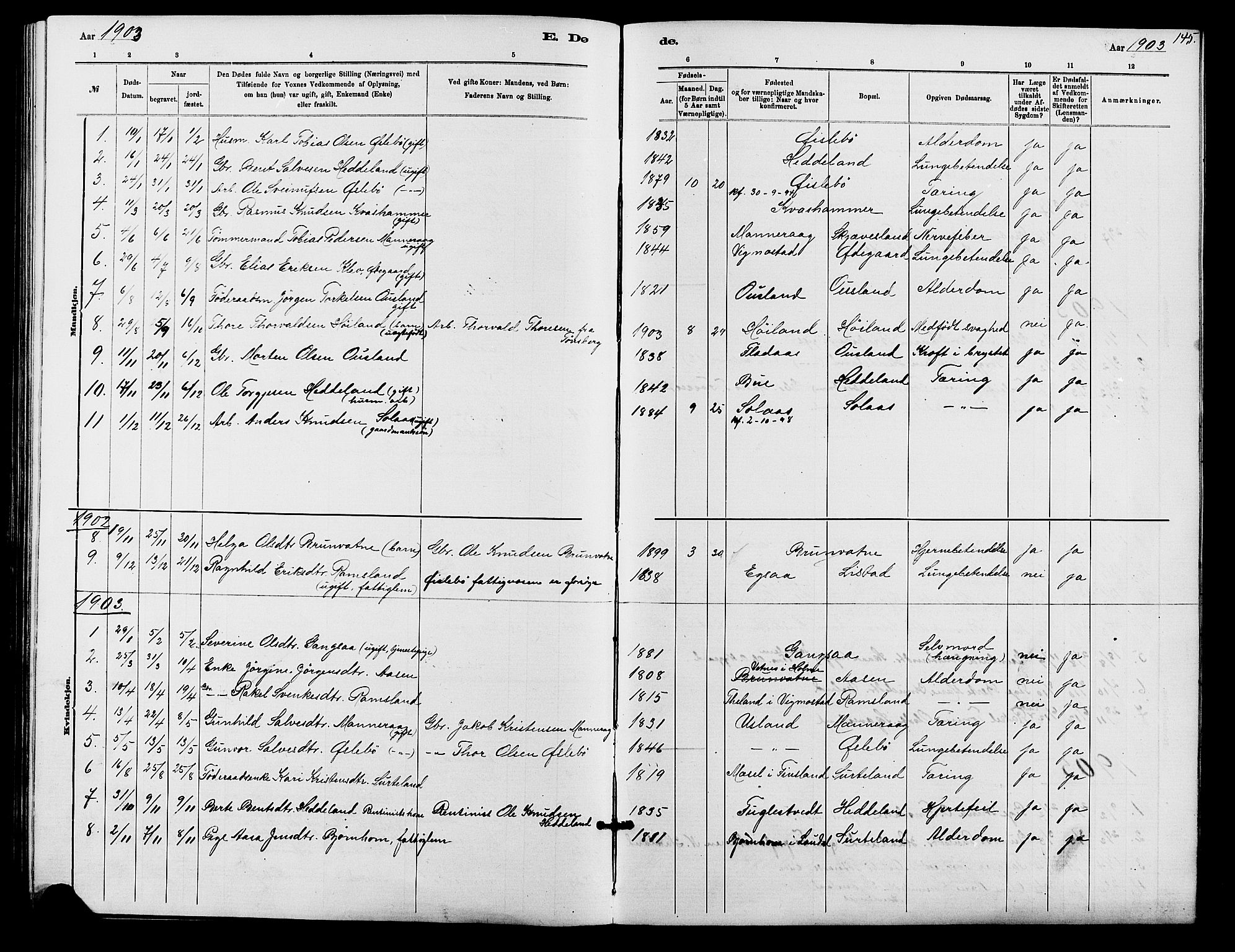 Holum sokneprestkontor, SAK/1111-0022/F/Fb/Fbc/L0003: Parish register (copy) no. B 3, 1882-1908, p. 145
