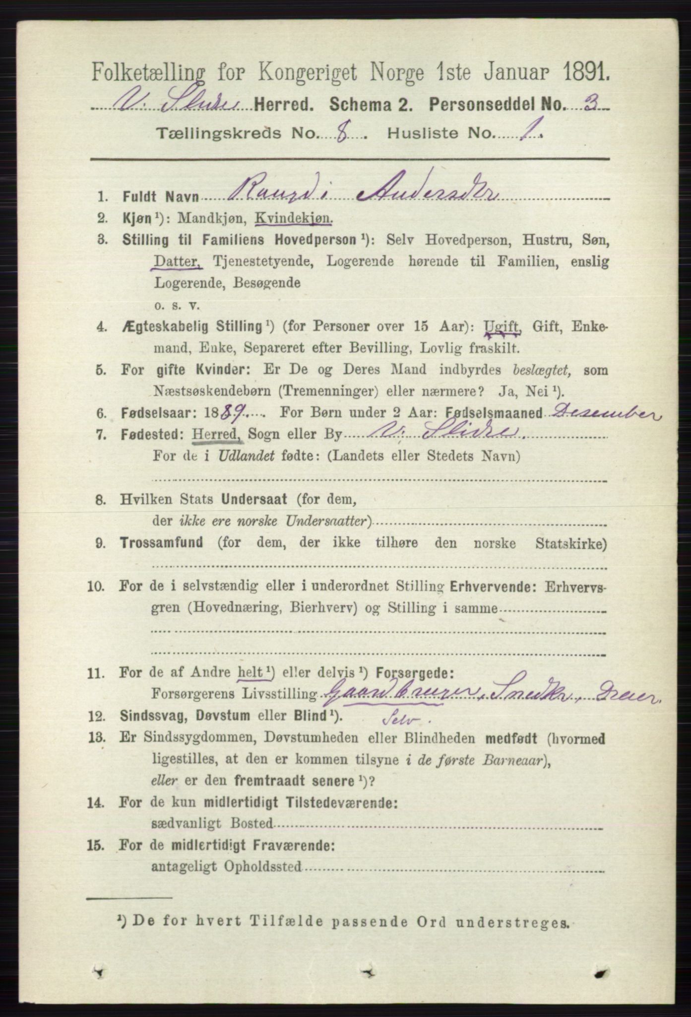 RA, 1891 census for 0543 Vestre Slidre, 1891, p. 2986