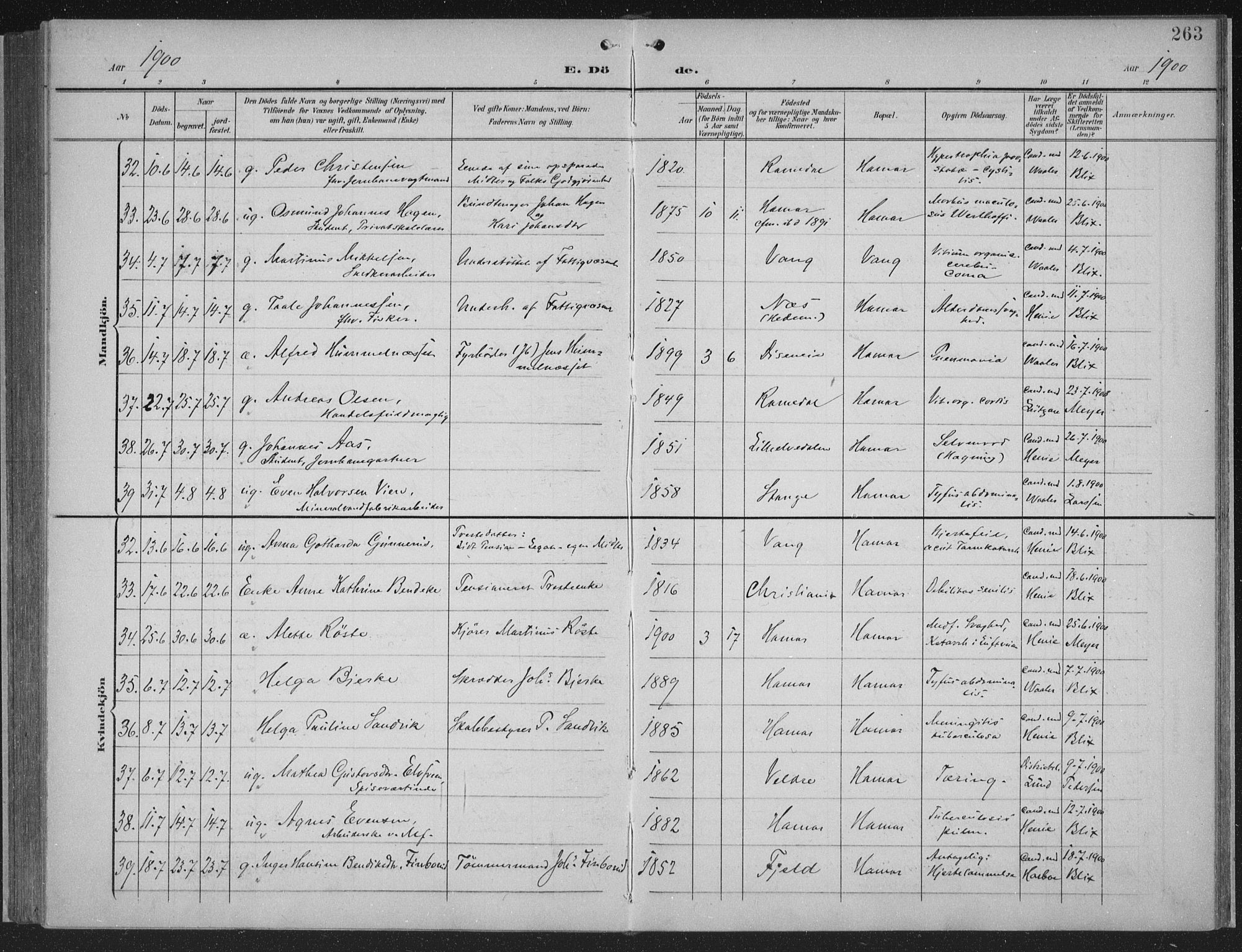 Hamar prestekontor, AV/SAH-DOMPH-002/H/Ha/Haa/L0001: Parish register (official) no. 1, 1900-1914, p. 263