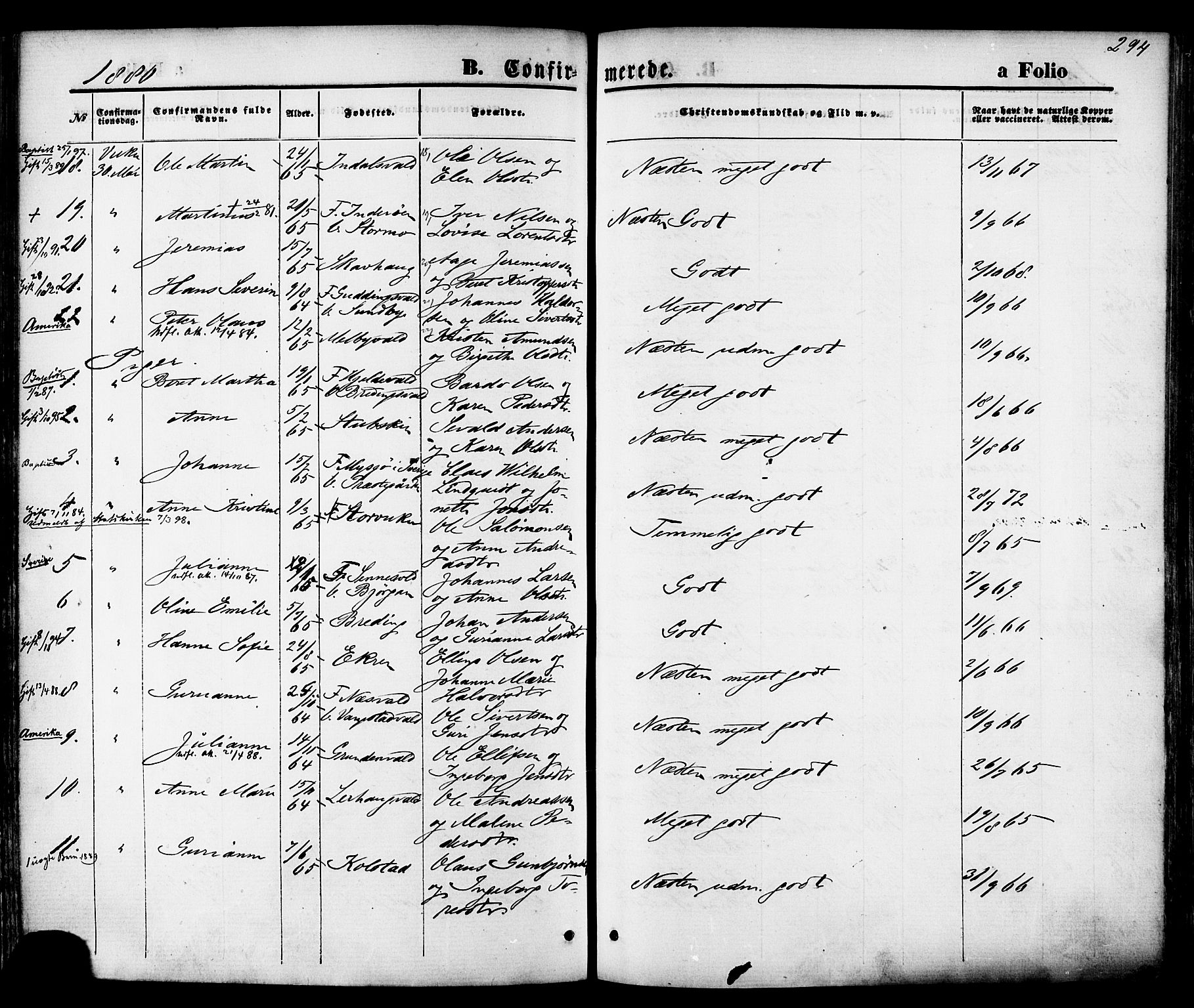 Ministerialprotokoller, klokkerbøker og fødselsregistre - Nord-Trøndelag, SAT/A-1458/723/L0242: Parish register (official) no. 723A11, 1870-1880, p. 294