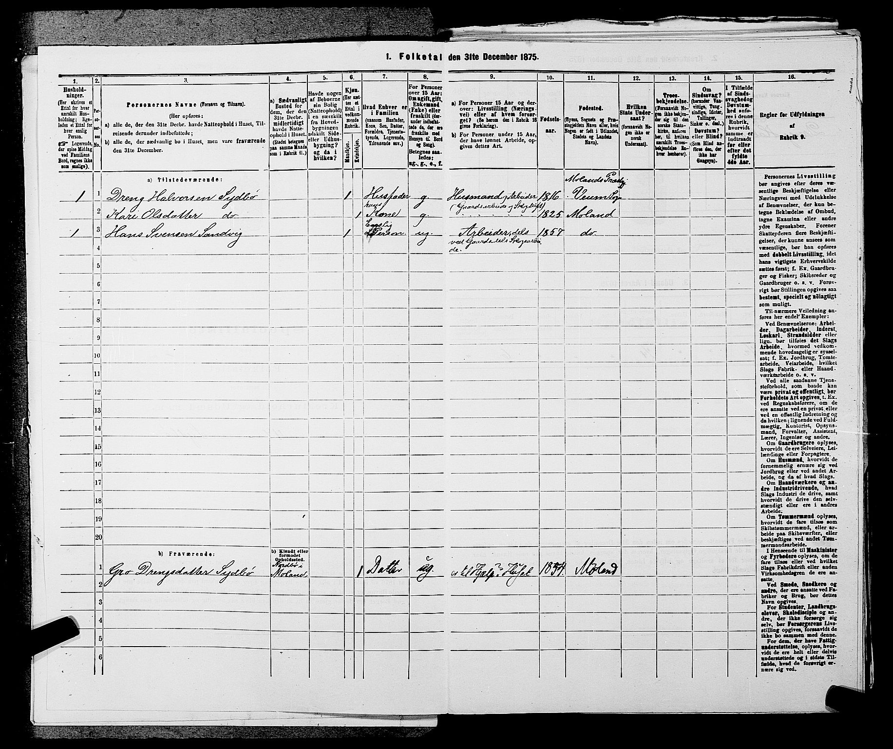 SAKO, 1875 census for 0831P Moland, 1875, p. 446