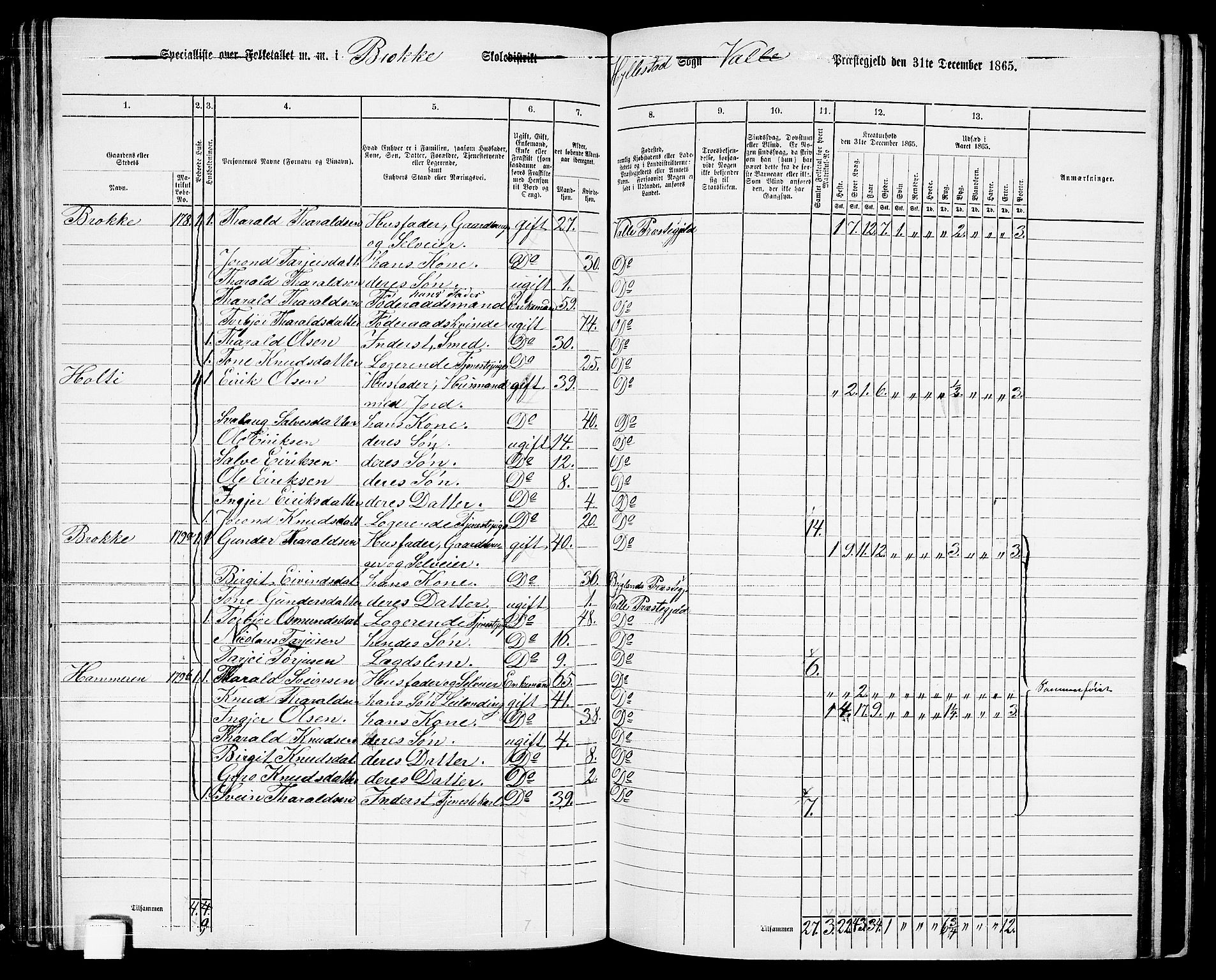 RA, 1865 census for Valle, 1865, p. 106