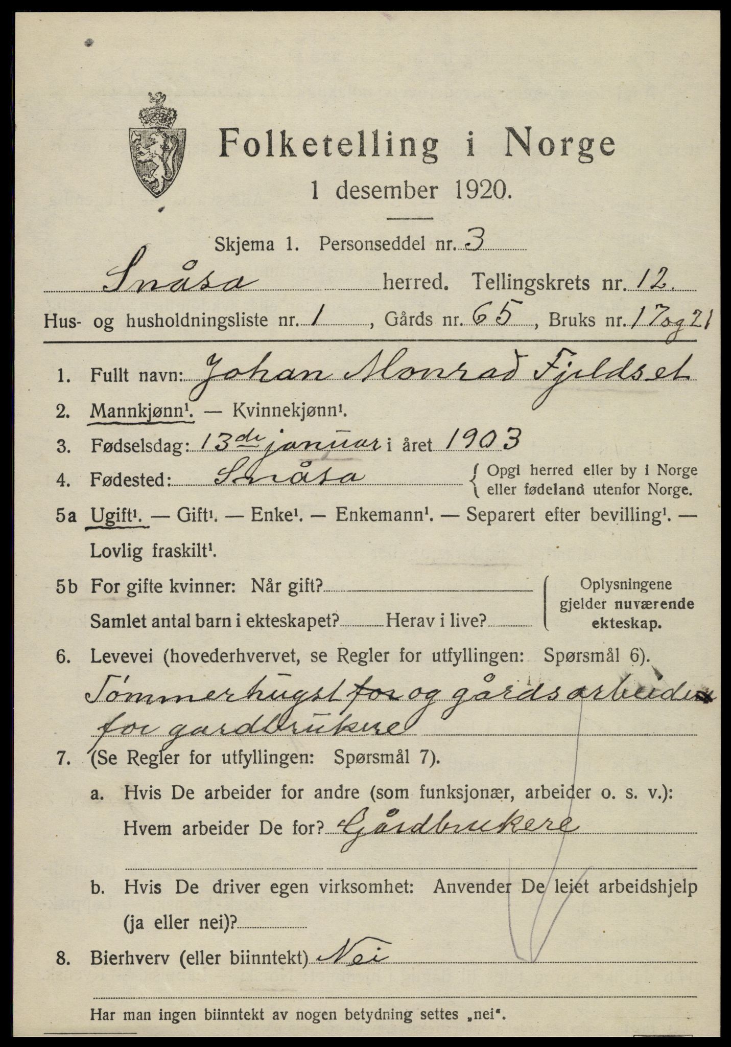 SAT, 1920 census for Snåsa, 1920, p. 5196