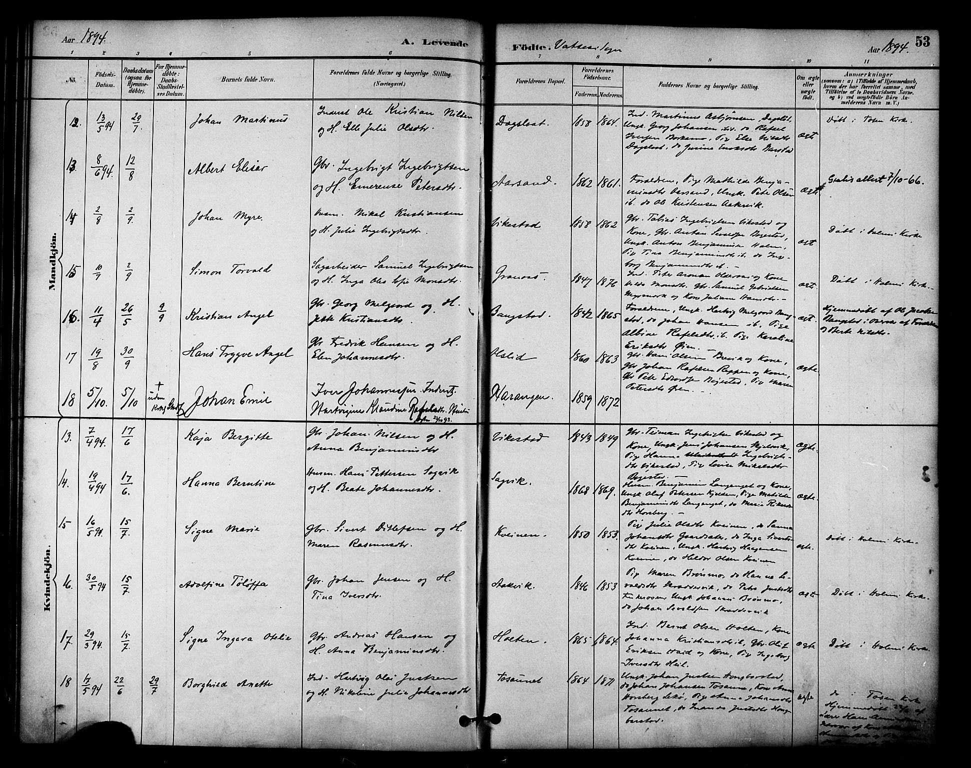 Ministerialprotokoller, klokkerbøker og fødselsregistre - Nordland, AV/SAT-A-1459/810/L0150: Parish register (official) no. 810A10 /1, 1884-1895, p. 53