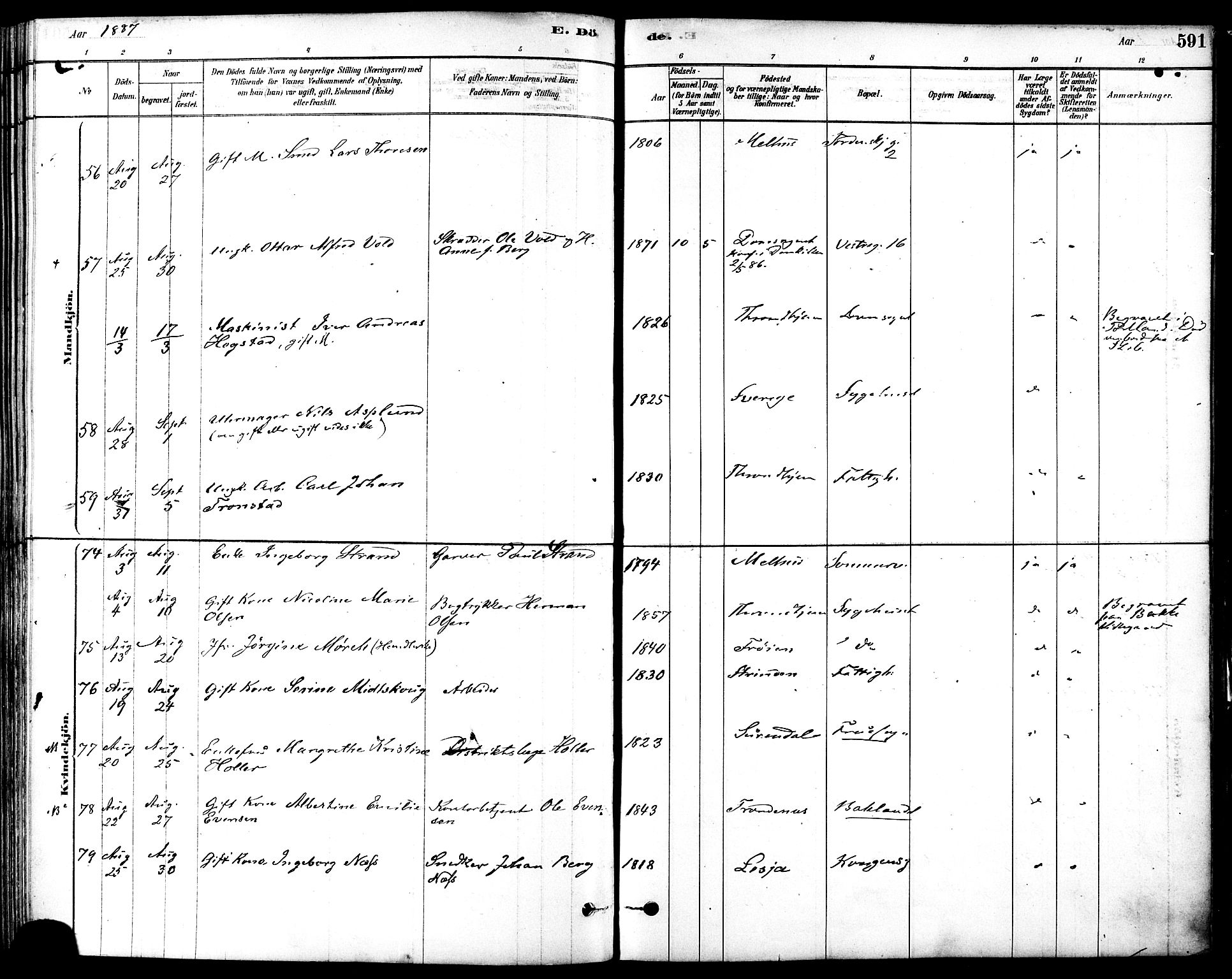 Ministerialprotokoller, klokkerbøker og fødselsregistre - Sør-Trøndelag, AV/SAT-A-1456/601/L0058: Parish register (official) no. 601A26, 1877-1891, p. 591