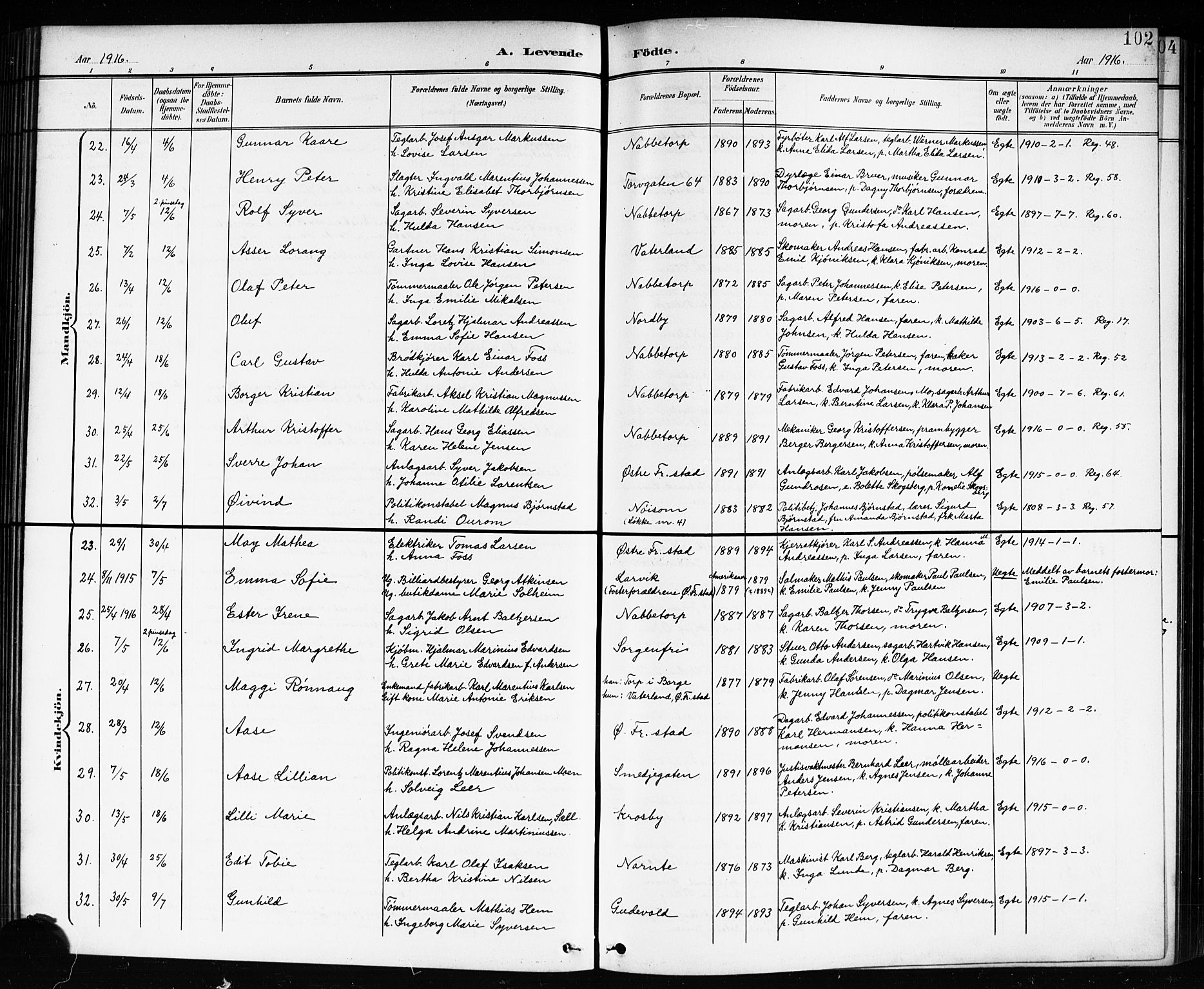 Østre Fredrikstad prestekontor Kirkebøker, AV/SAO-A-10907/G/Ga/L0002: Parish register (copy) no. 2, 1900-1919, p. 102