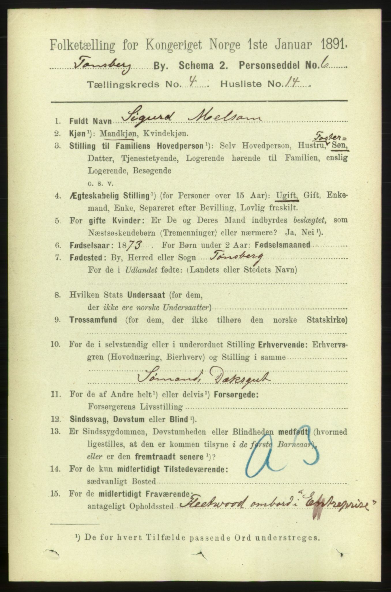 RA, 1891 census for 0705 Tønsberg, 1891, p. 2185