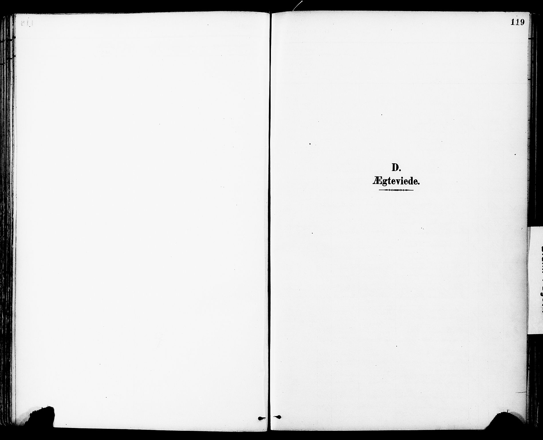 Ministerialprotokoller, klokkerbøker og fødselsregistre - Sør-Trøndelag, SAT/A-1456/681/L0935: Parish register (official) no. 681A13, 1890-1898, p. 119