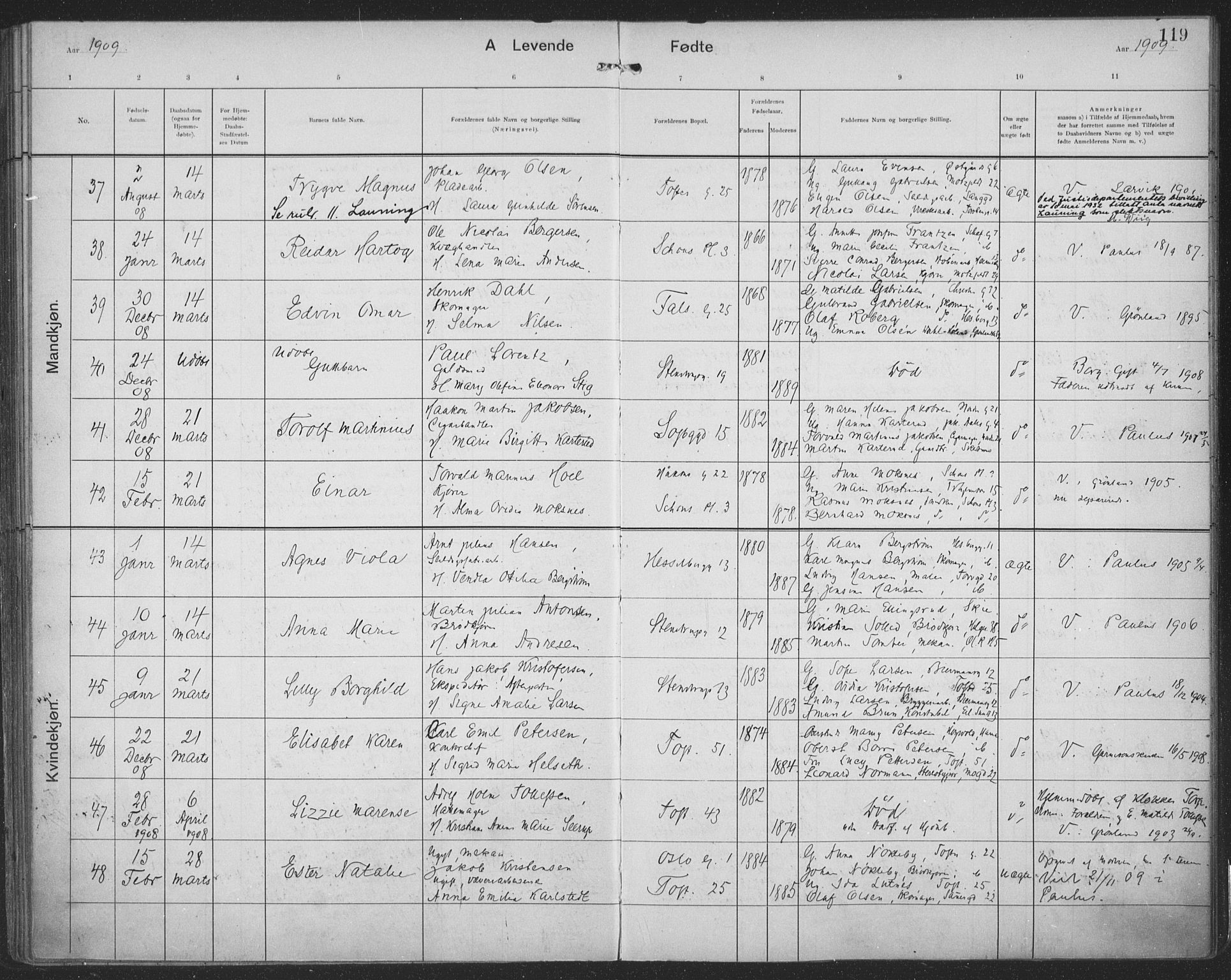 Paulus prestekontor Kirkebøker, AV/SAO-A-10871/F/Fa/L0019: Parish register (official) no. 19, 1906-1911, p. 119