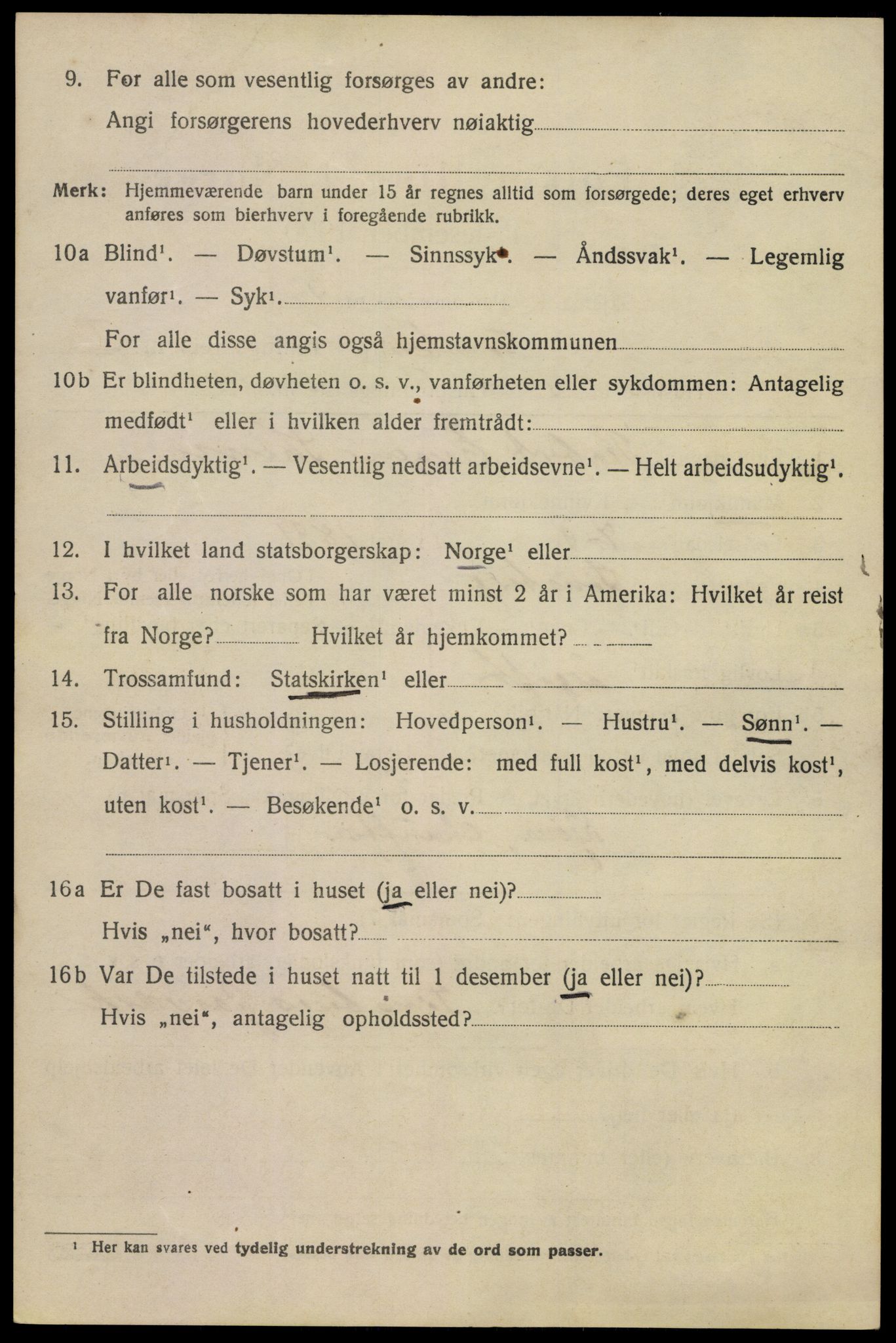 SAKO, 1920 census for Tønsberg, 1920, p. 8742