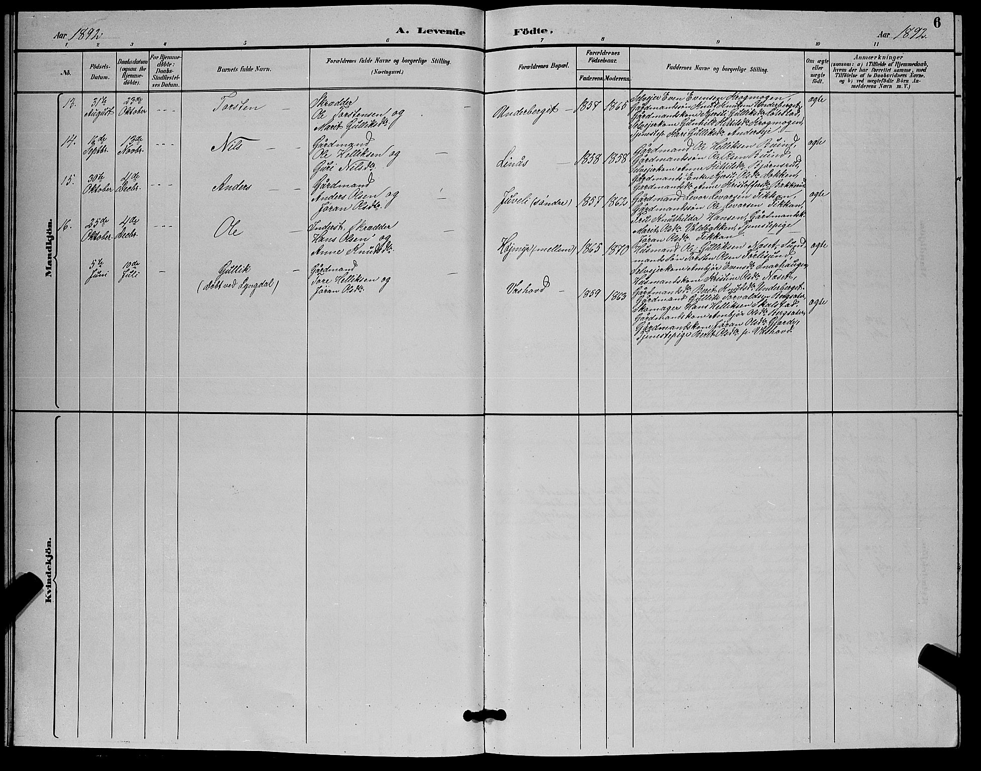 Flesberg kirkebøker, AV/SAKO-A-18/G/Ga/L0004: Parish register (copy) no. I 4 /1, 1890-1898, p. 6