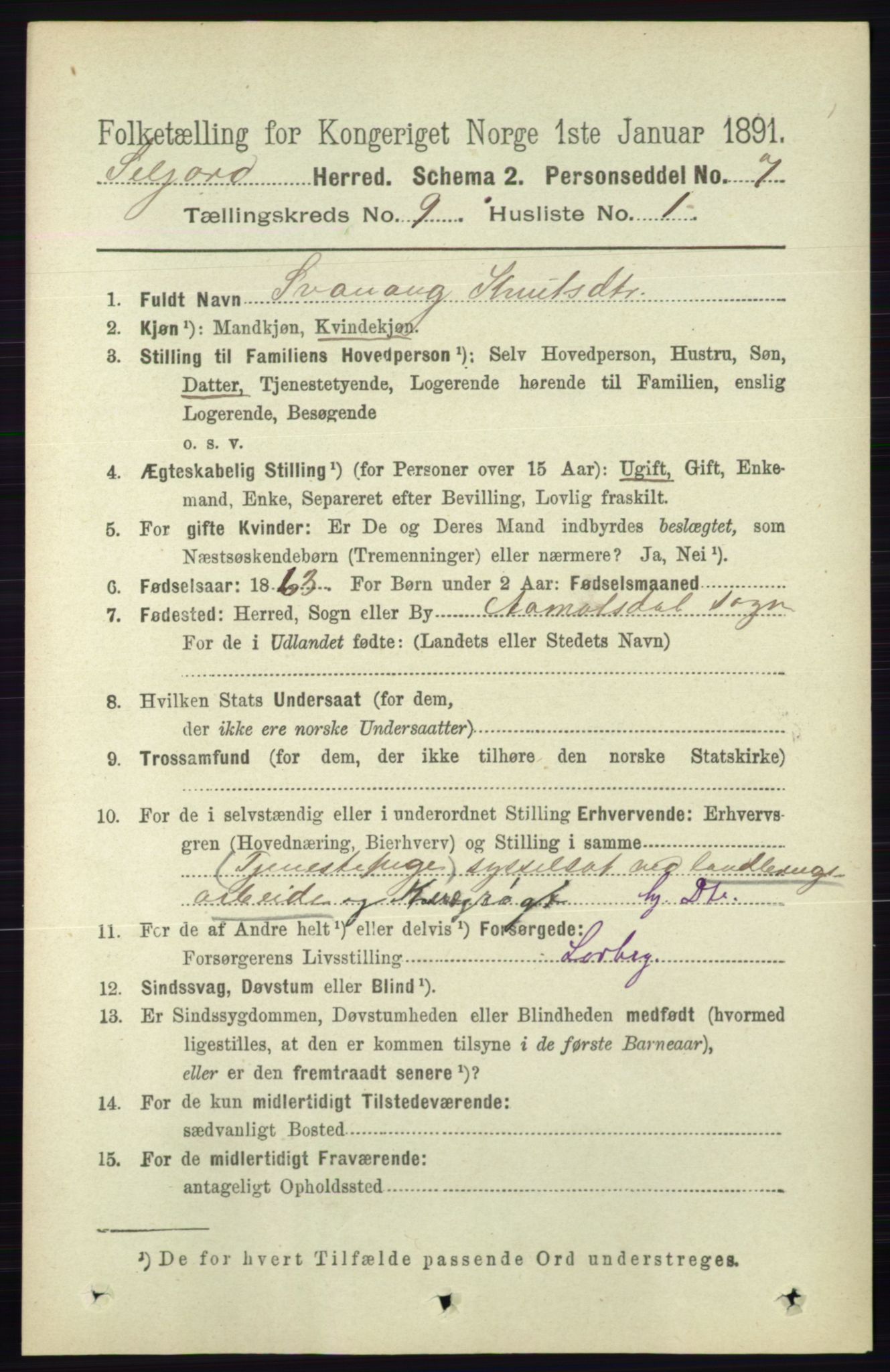 RA, 1891 census for 0828 Seljord, 1891, p. 3177