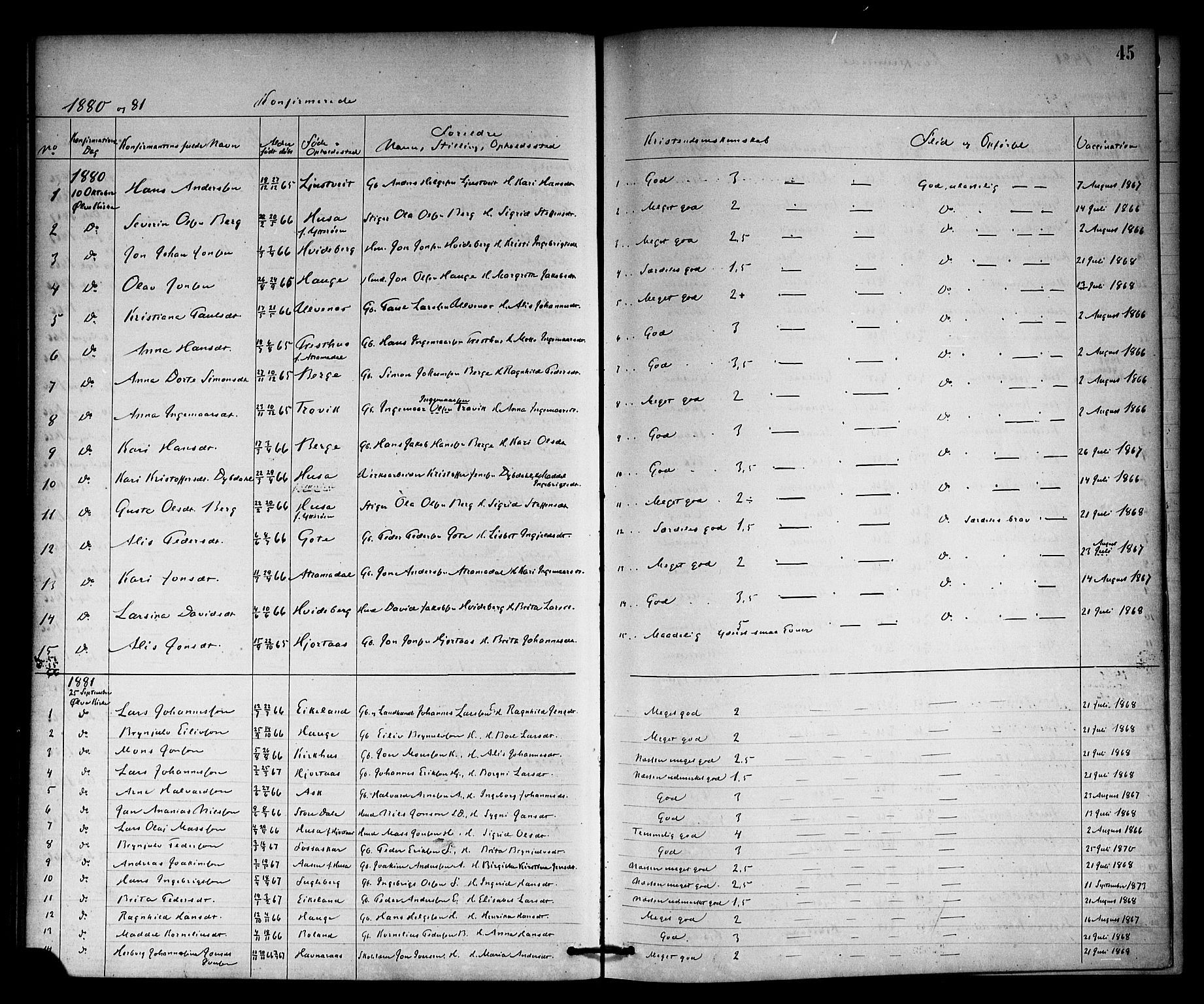 Kvinnherad sokneprestembete, SAB/A-76401/H/Haa: Parish register (official) no. A 10, 1867-1886, p. 45