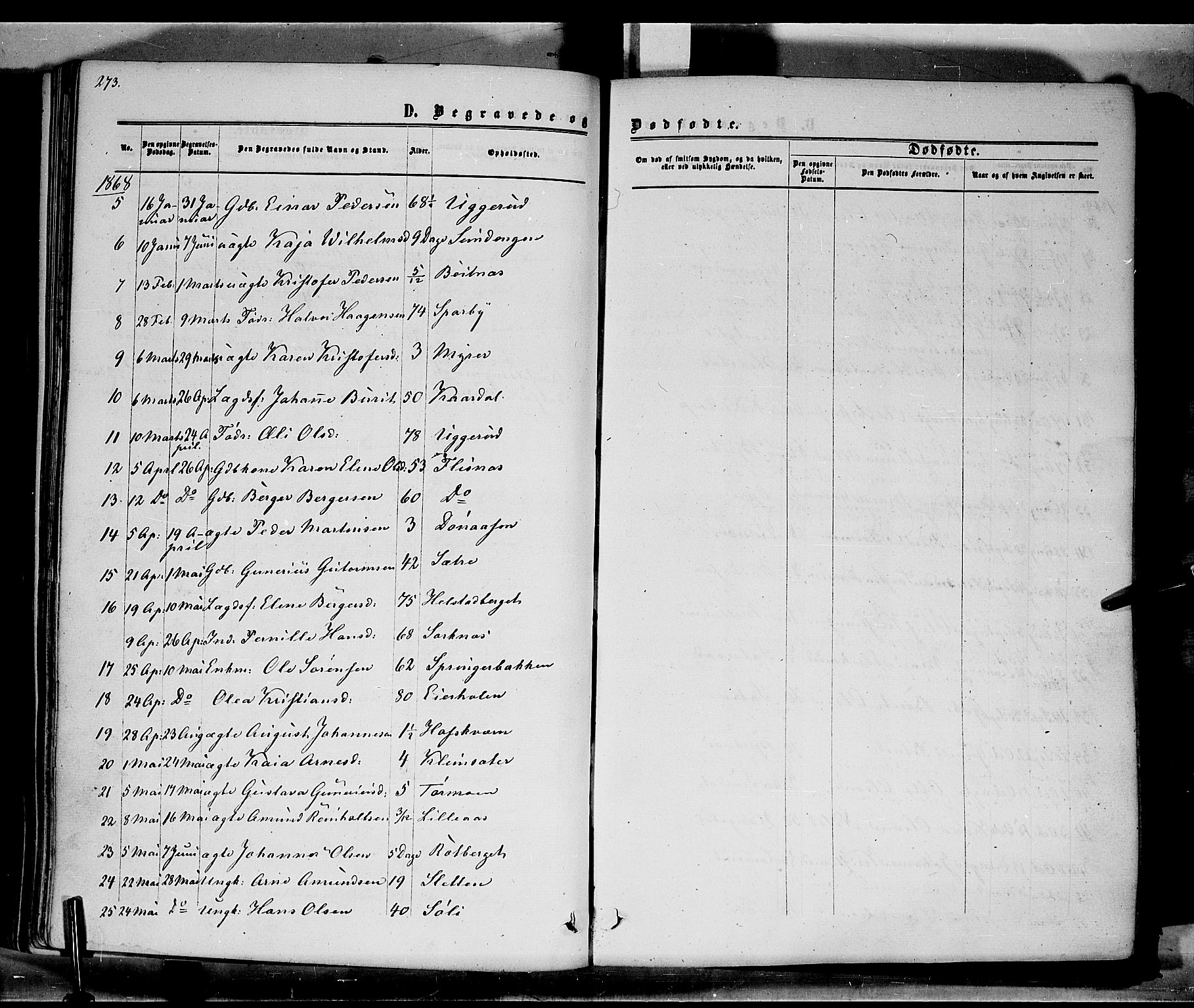 Hof prestekontor, AV/SAH-PREST-038/H/Ha/Haa/L0009: Parish register (official) no. 9, 1862-1877, p. 273