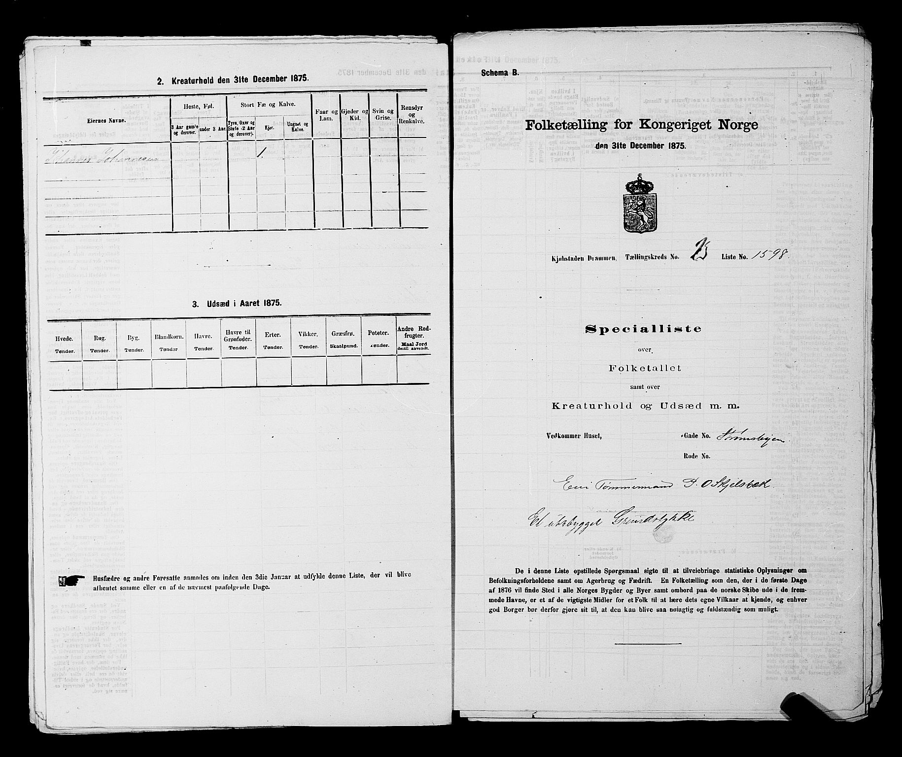 SAKO, 1875 census for 0602 Drammen, 1875, p. 2356