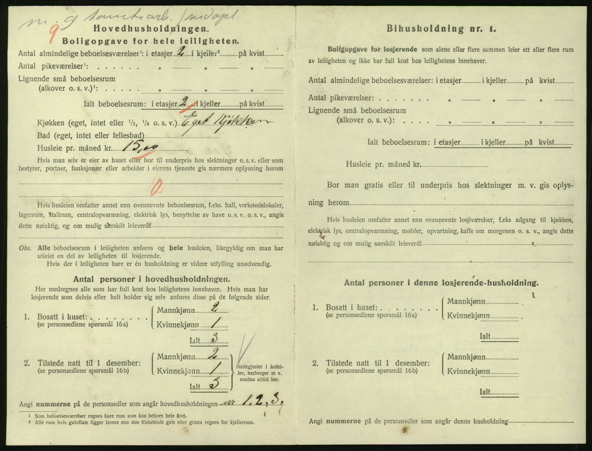 SAKO, 1920 census for Larvik, 1920, p. 3689