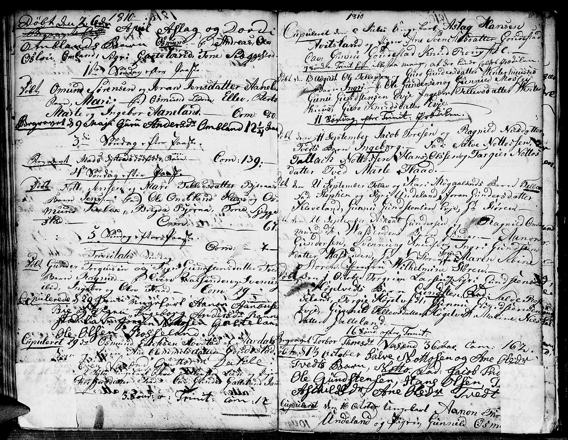 Evje sokneprestkontor, SAK/1111-0008/F/Fa/Faa/L0003: Parish register (official) no. A 3, 1787-1816, p. 61