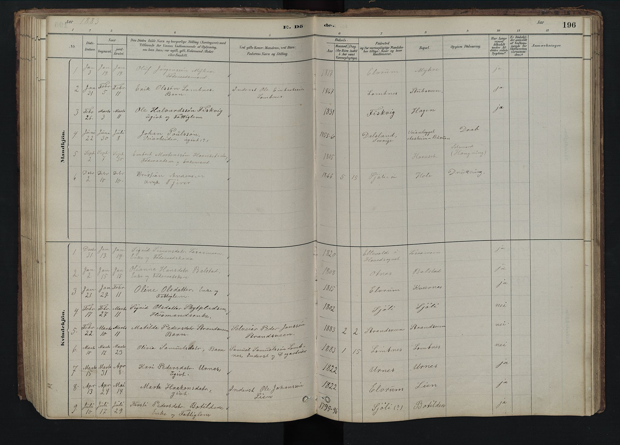 Rendalen prestekontor, SAH/PREST-054/H/Ha/Hab/L0009: Parish register (copy) no. 9, 1879-1902, p. 196